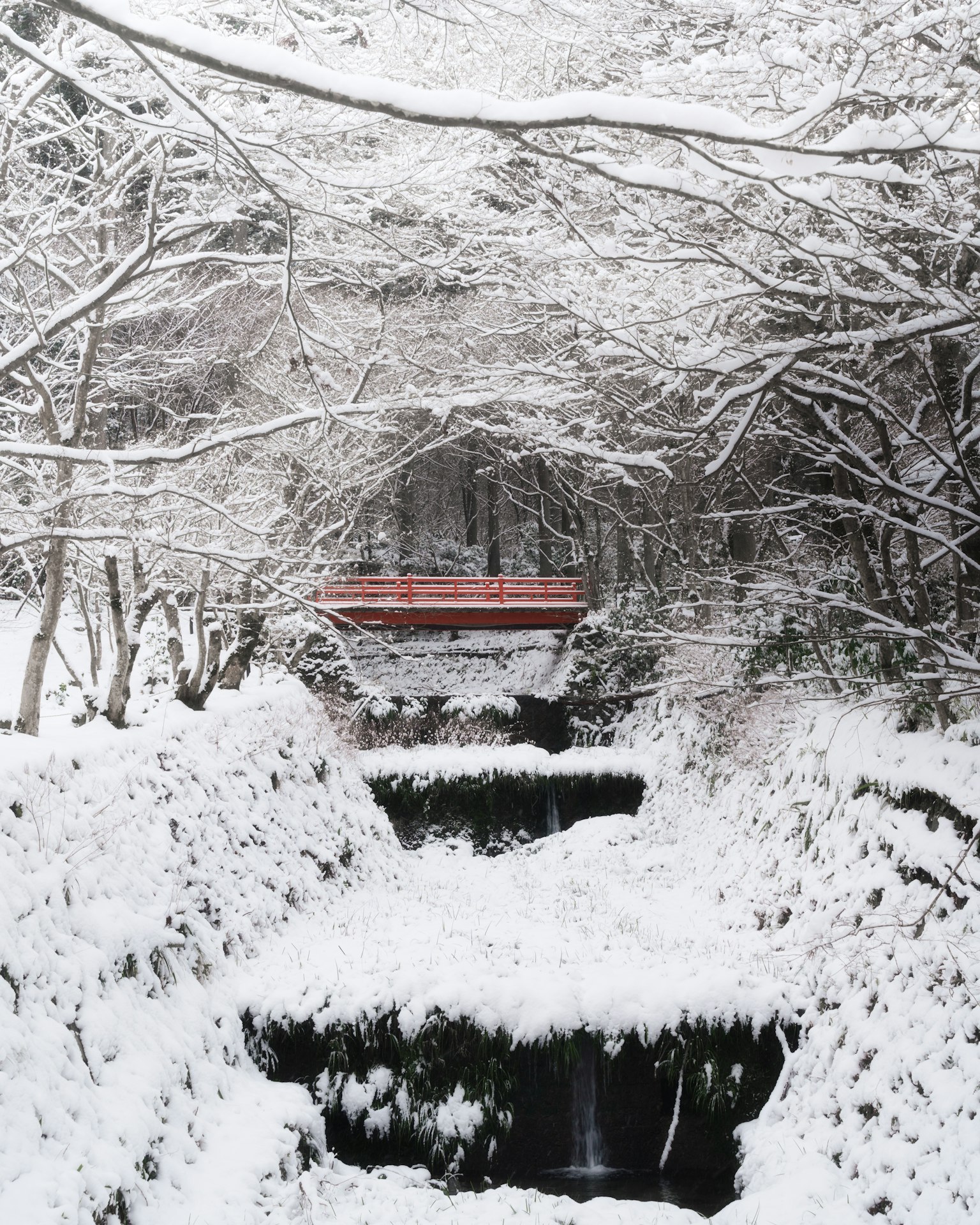 一個寧靜的冬季景觀，紅色橋樑橫跨被雪覆蓋的小溪