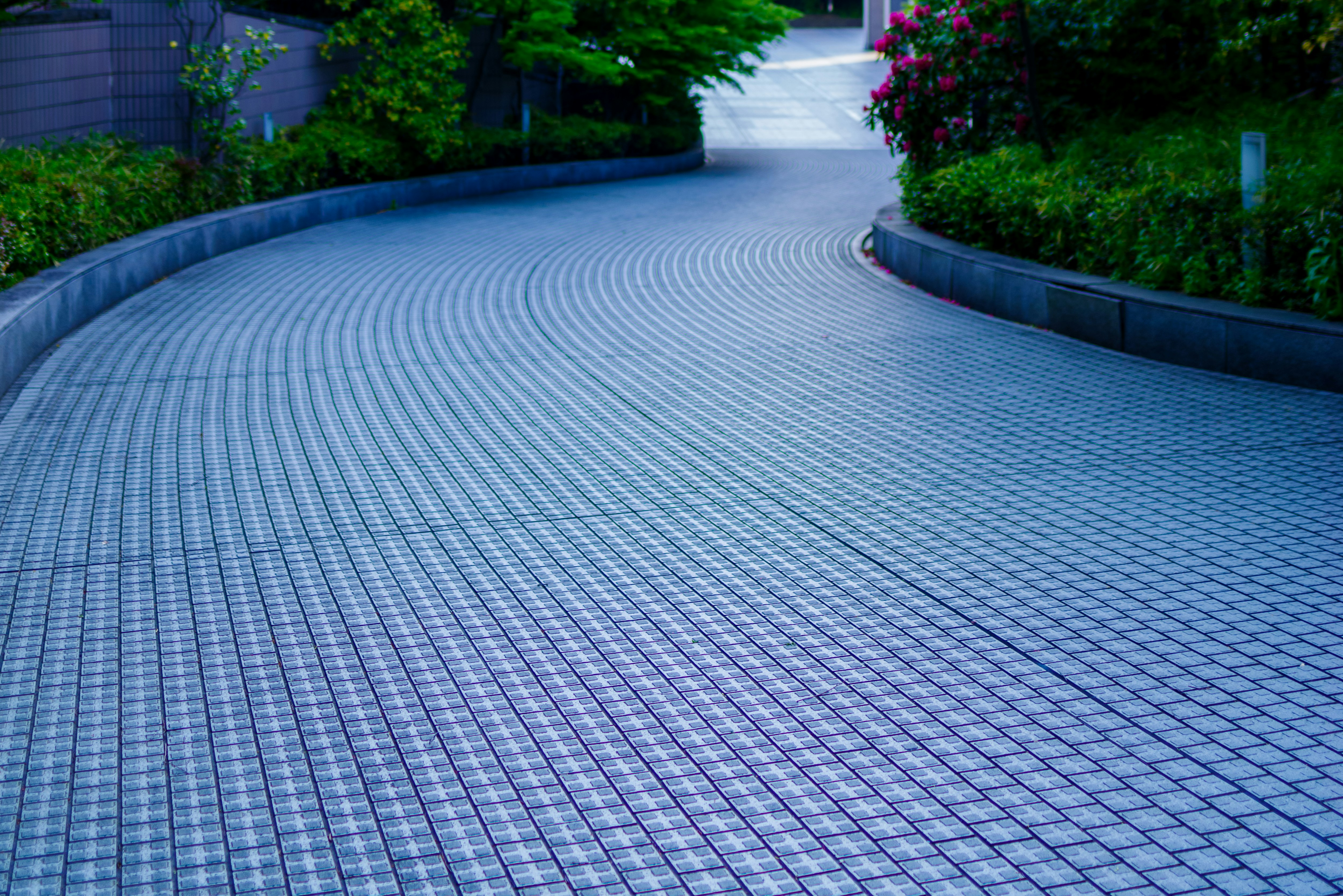 curved tiled walkway surrounded by greenery