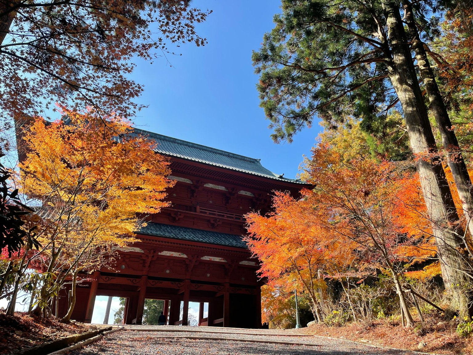 Bâtiment japonais traditionnel entouré de feuillage d'automne et ciel bleu