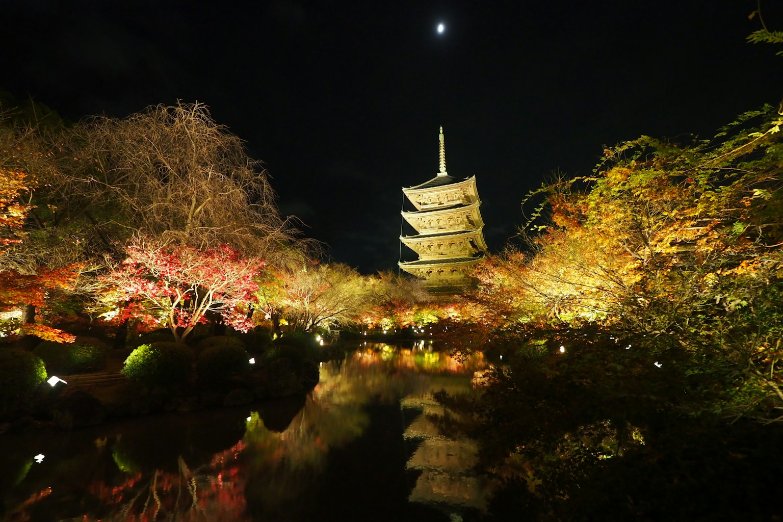 Un paysage magnifique d'une pagode et d'arbres colorés illuminés la nuit