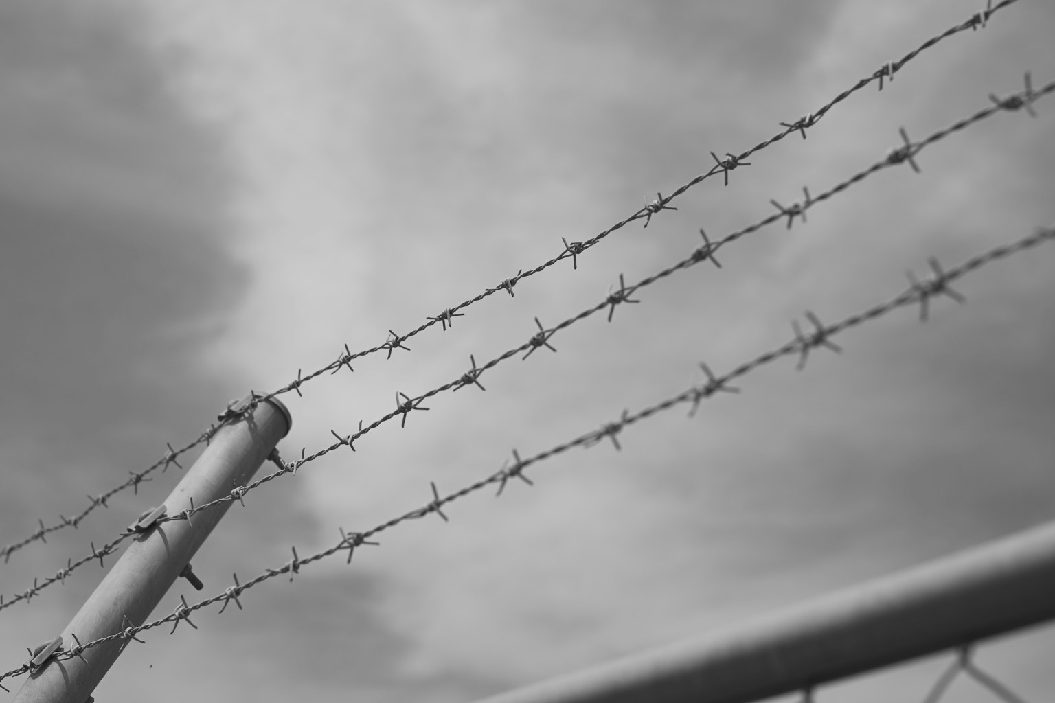 흑백의 가시철사와 금속 파이프의 클로즈업