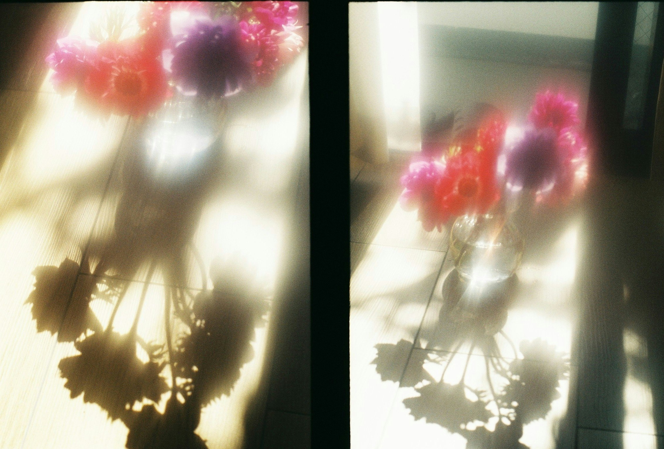 窓辺の光に照らされた花と室内のひとり時間