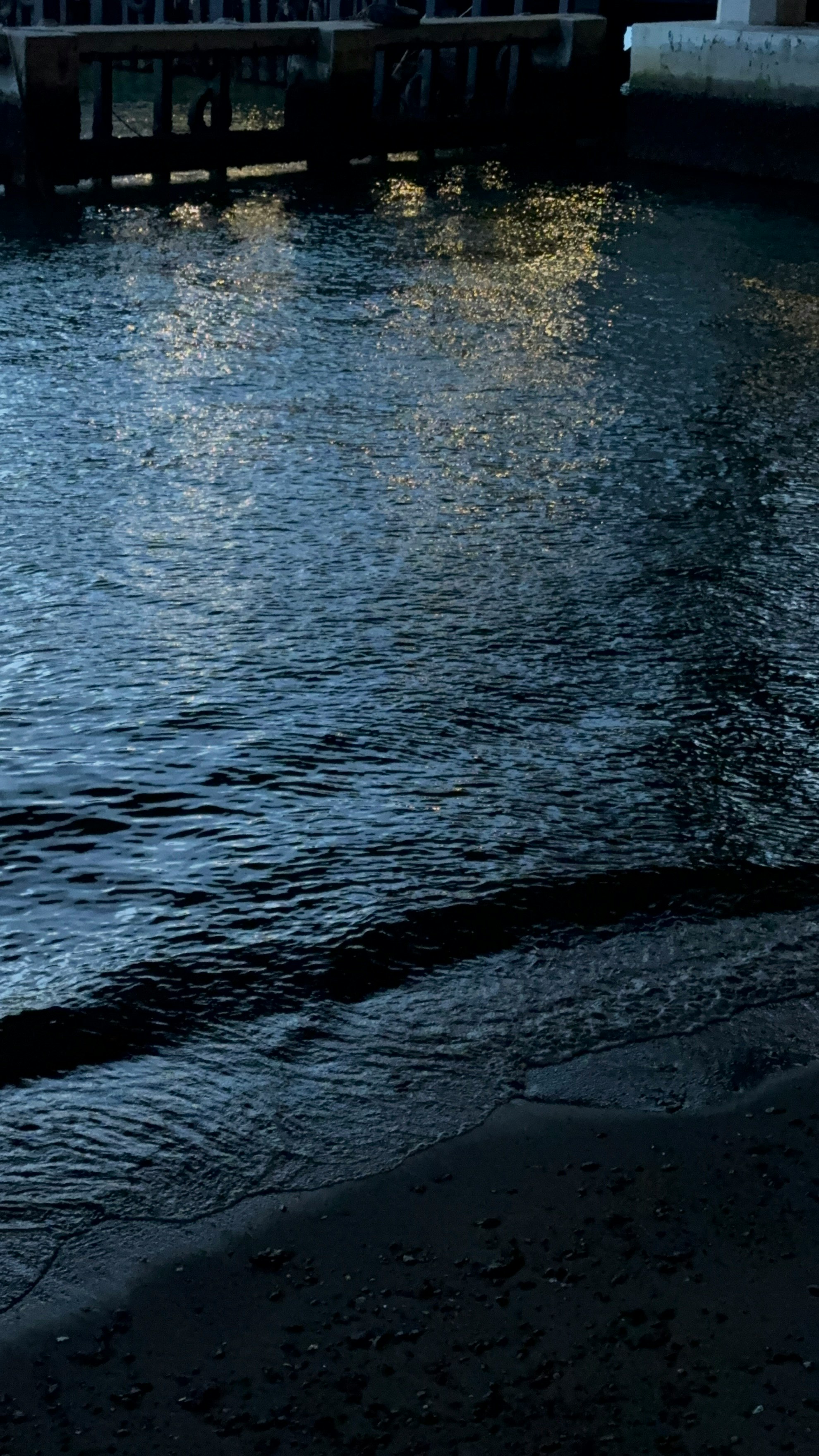 川沿いの石畳と水面の反射