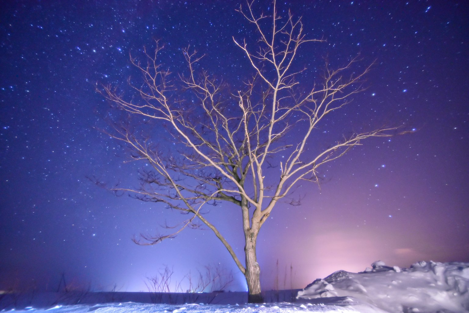 Un arbre nu sous un ciel étoilé avec de la neige au sol