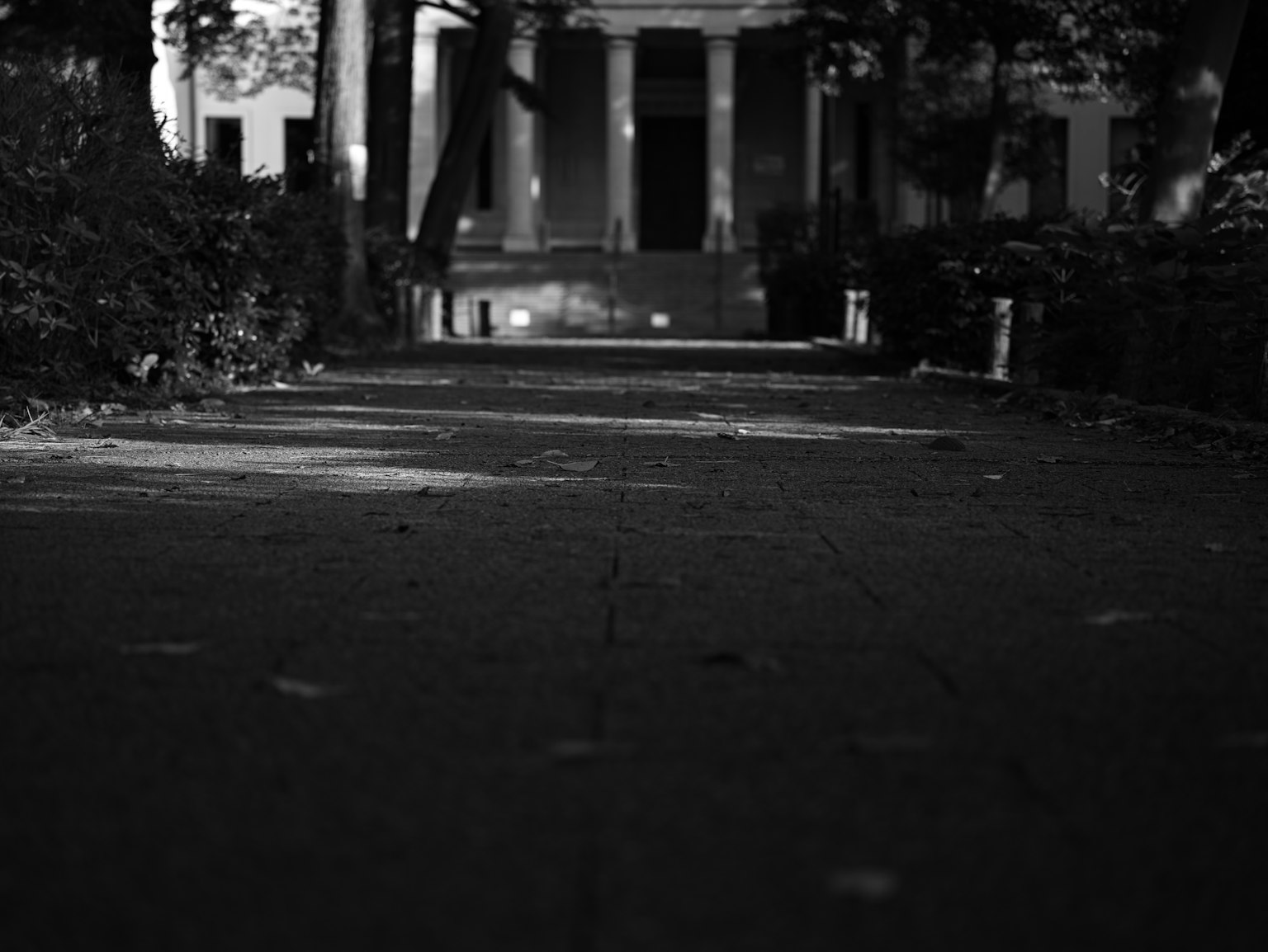 Allée sombre d'un parc menant à une vieille façade de bâtiment