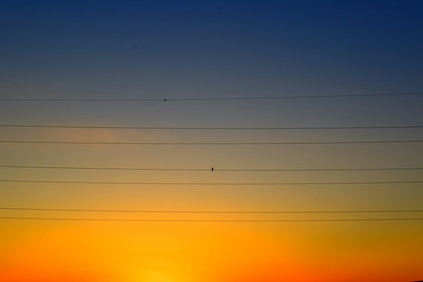 夕焼けのグラデーションが広がる空