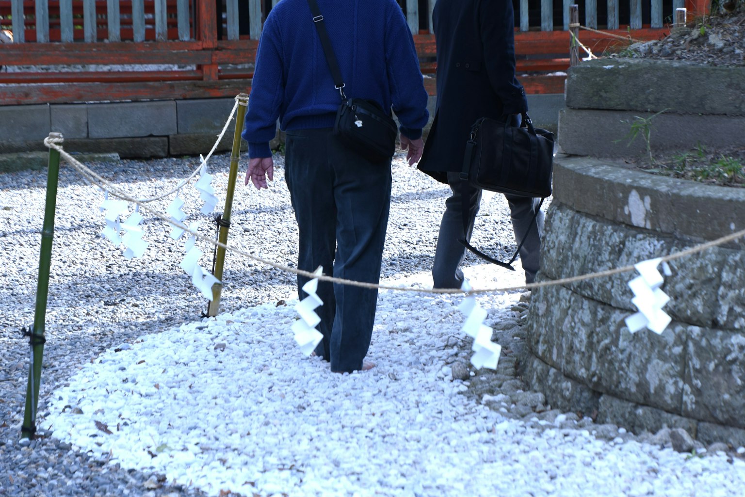 People walking on a path covered with white petals