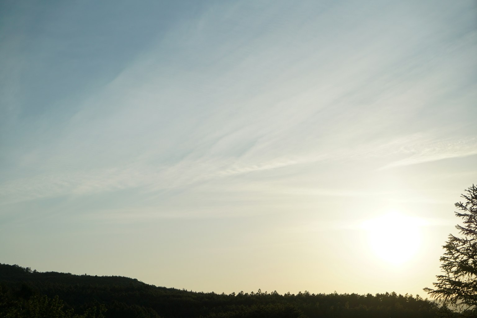 Landscape featuring a blue sky and sunset with silhouettes of trees