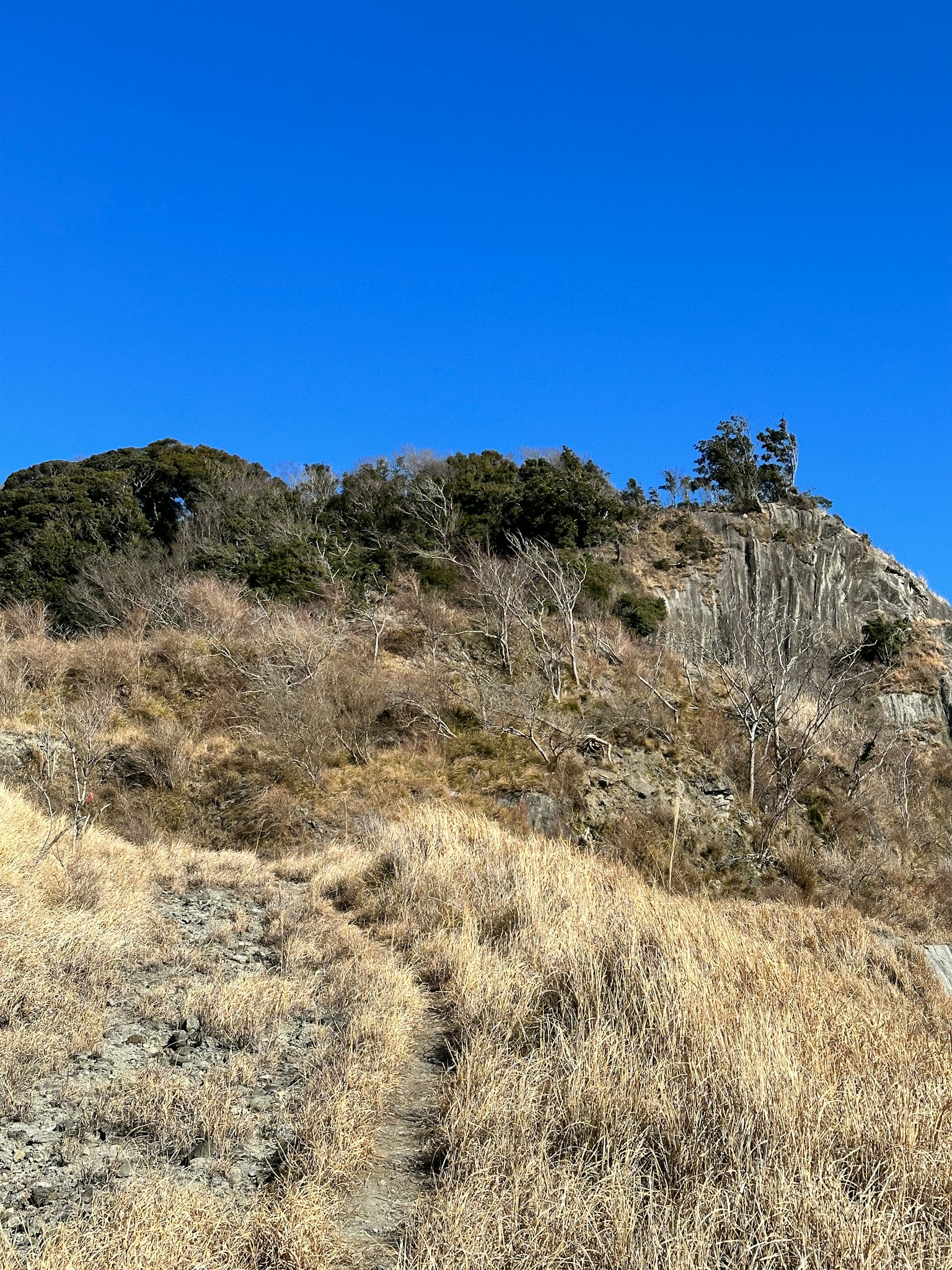 Trockene Graslandschaft und Berglandschaft unter blauem Himmel