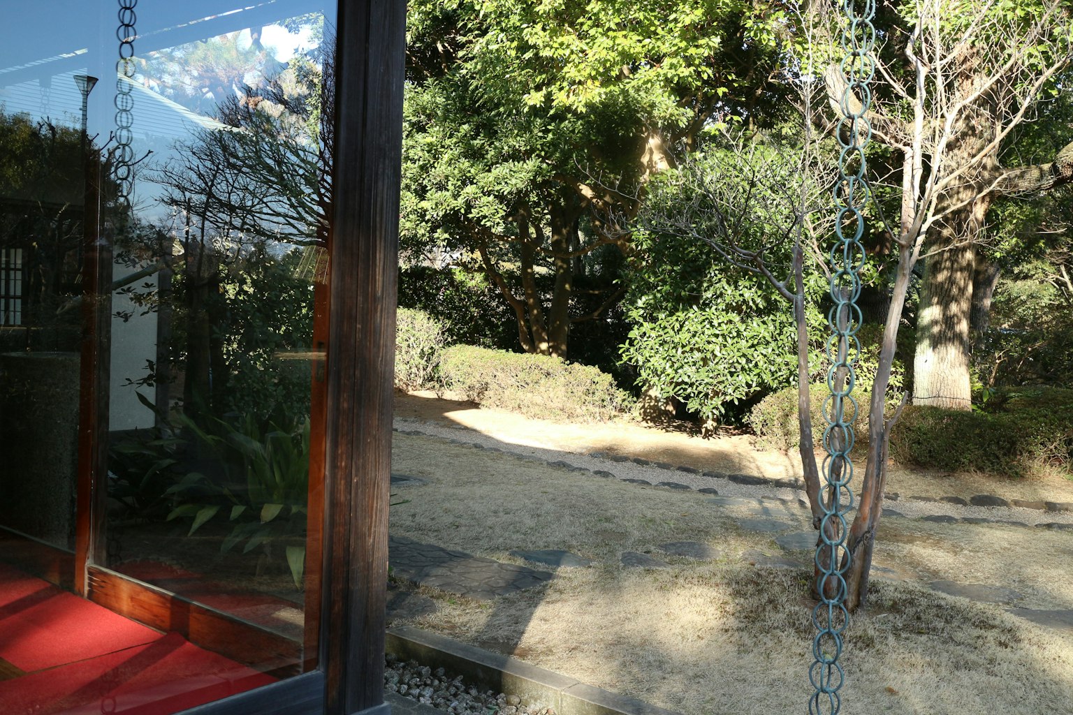 Une vue sereine de verdure et d'arbres dans un jardin