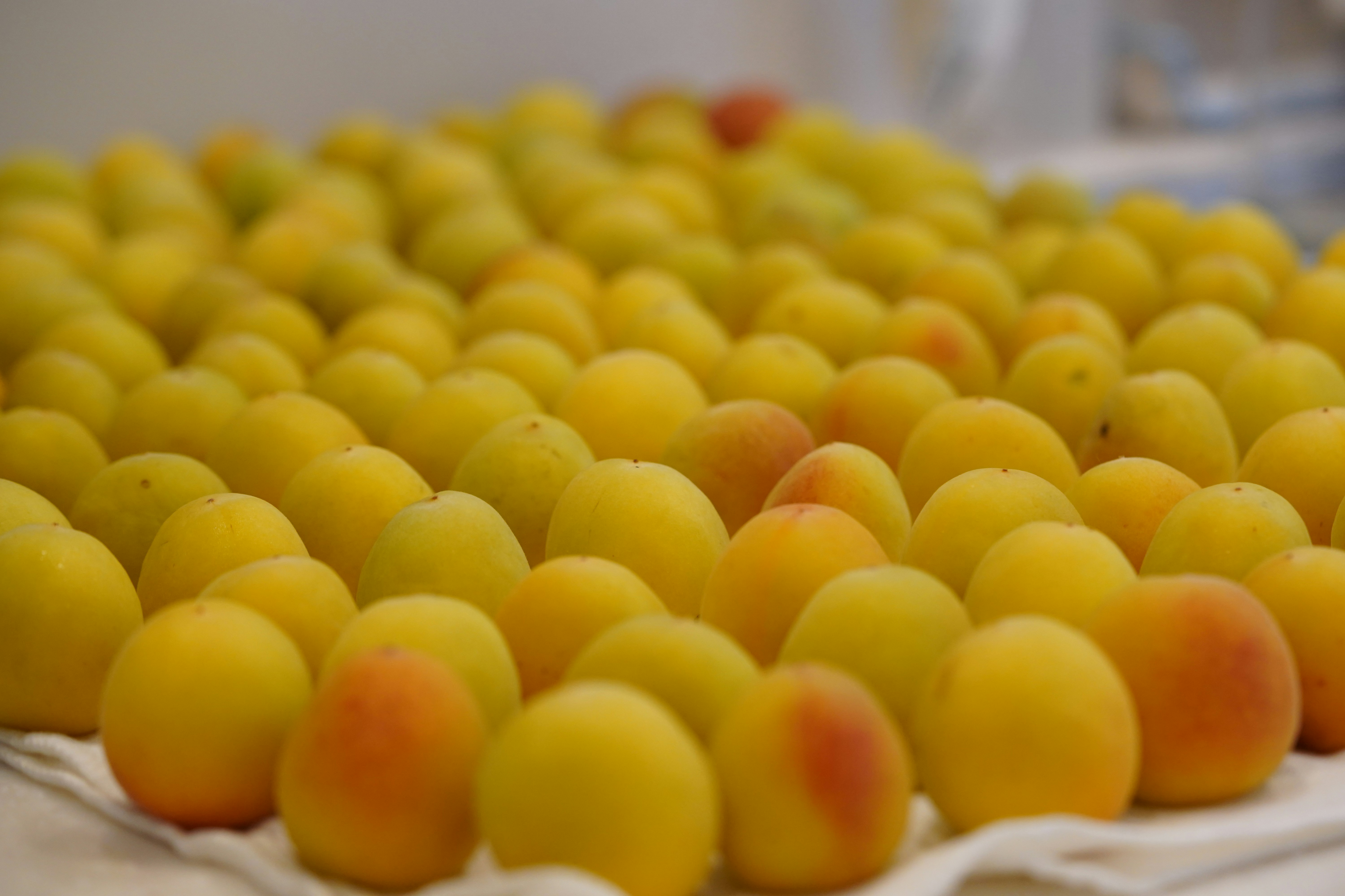 Rows of yellow rubber duck toys in a bath-like setting