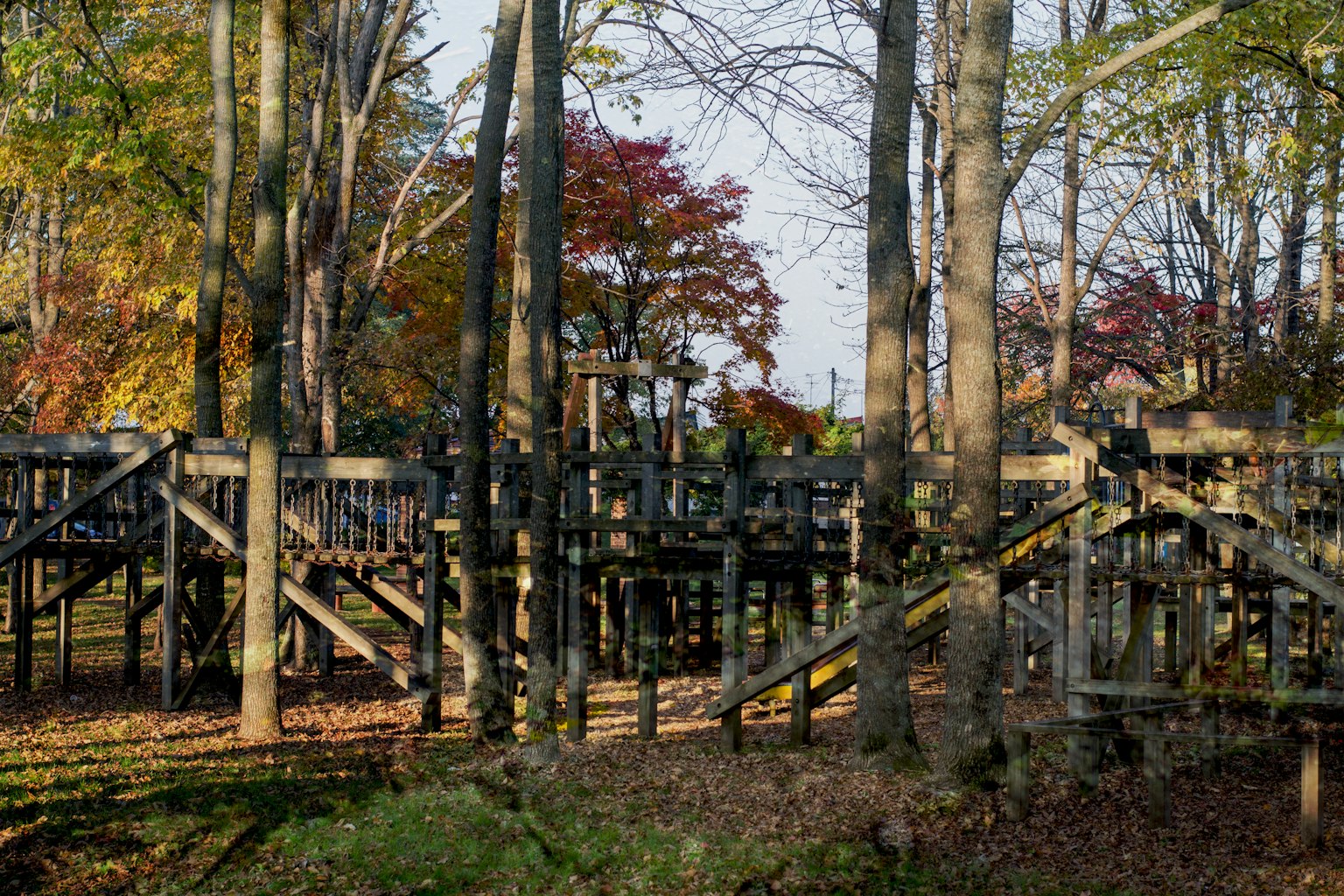 Spielplatzstruktur zwischen Bäumen mit Herbstfarben