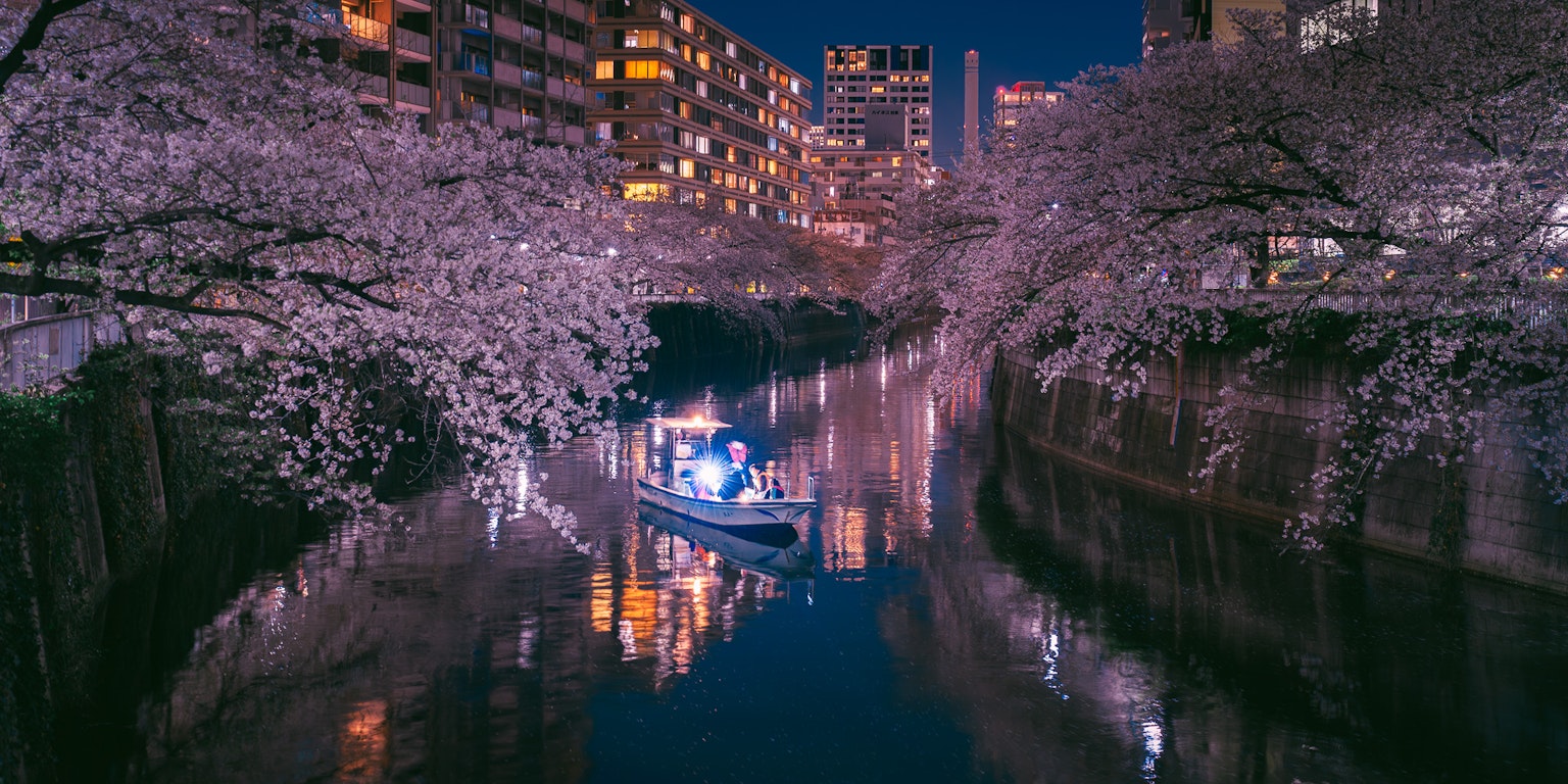 Beautiful night scene of cherry blossoms along the river with a boat