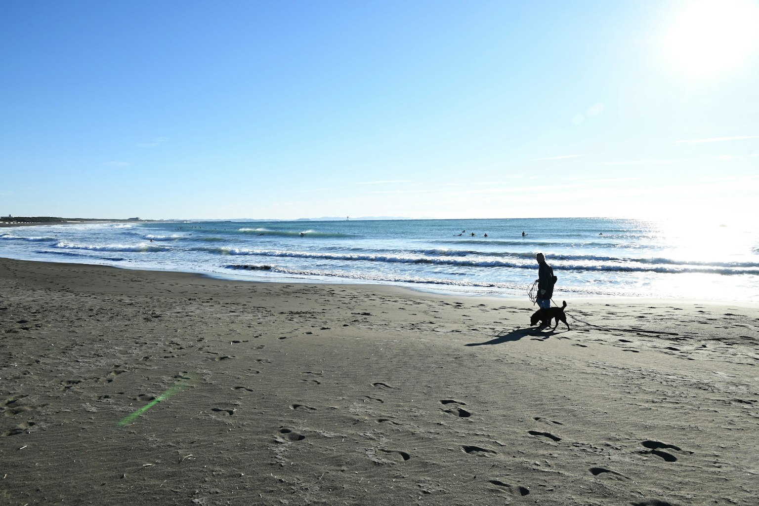 Personne marchant un chien sur la plage