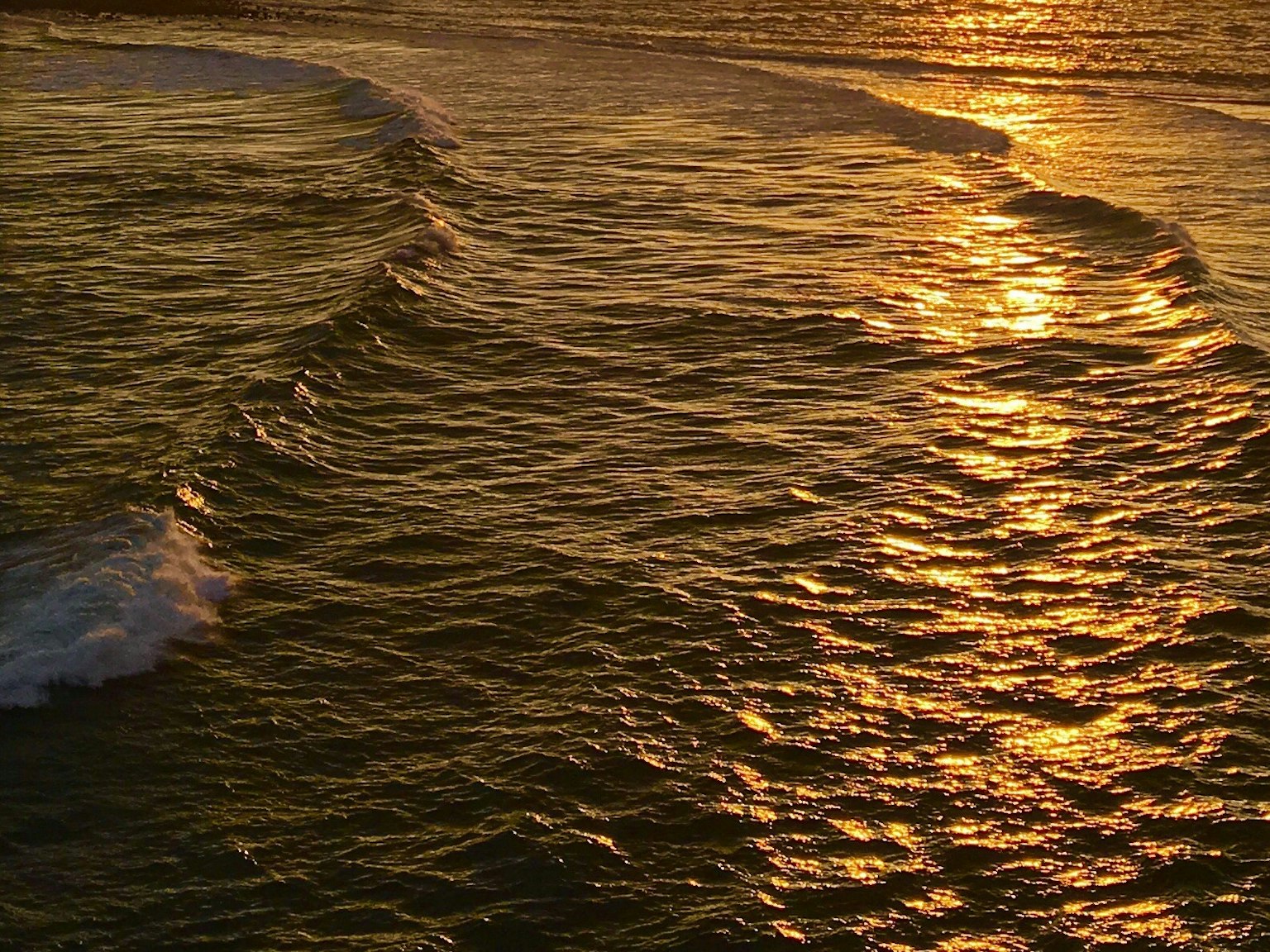 Hermosas olas del océano iluminadas por el atardecer