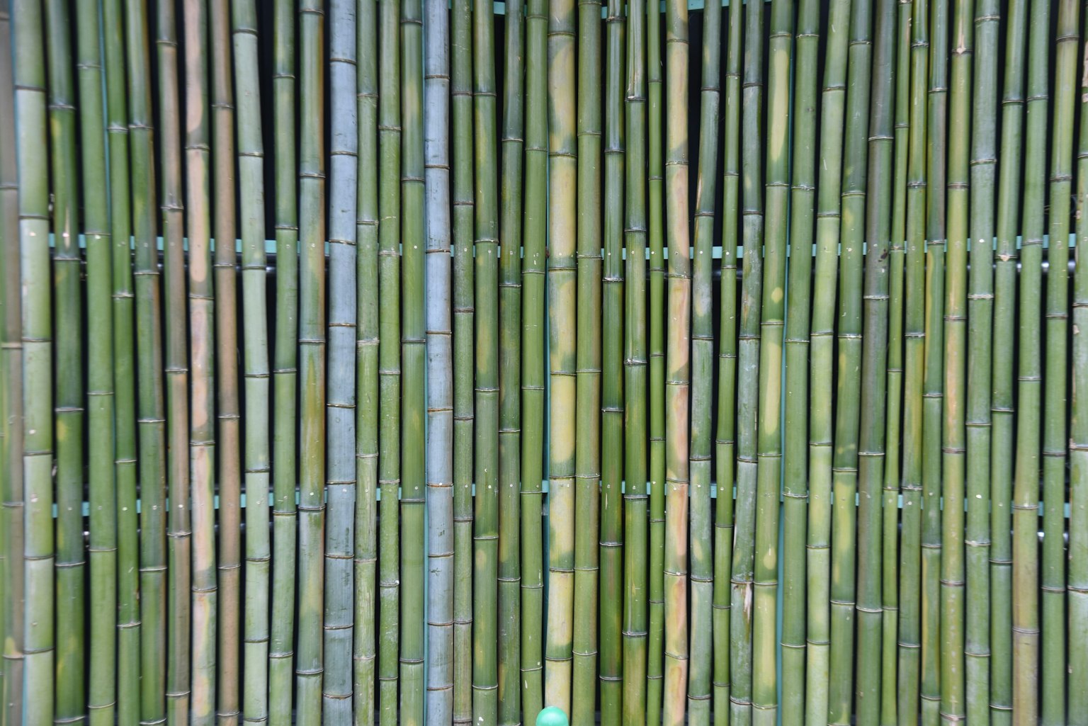 Bambuswandstruktur mit unterschiedlichen Farbtönen und Texturen