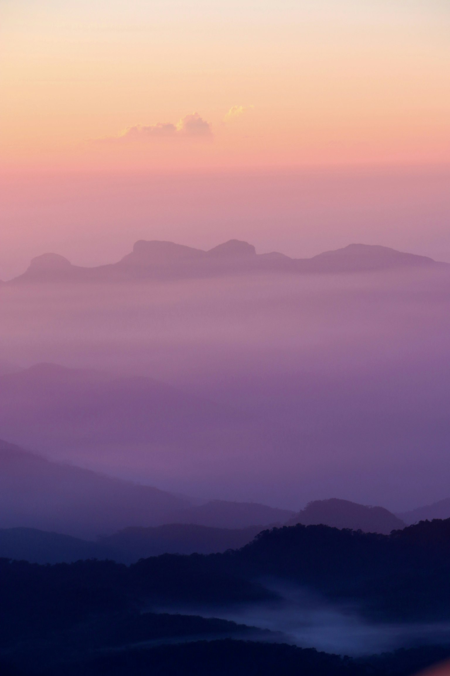 Montañas envueltas en niebla púrpura bajo un suave cielo de atardecer