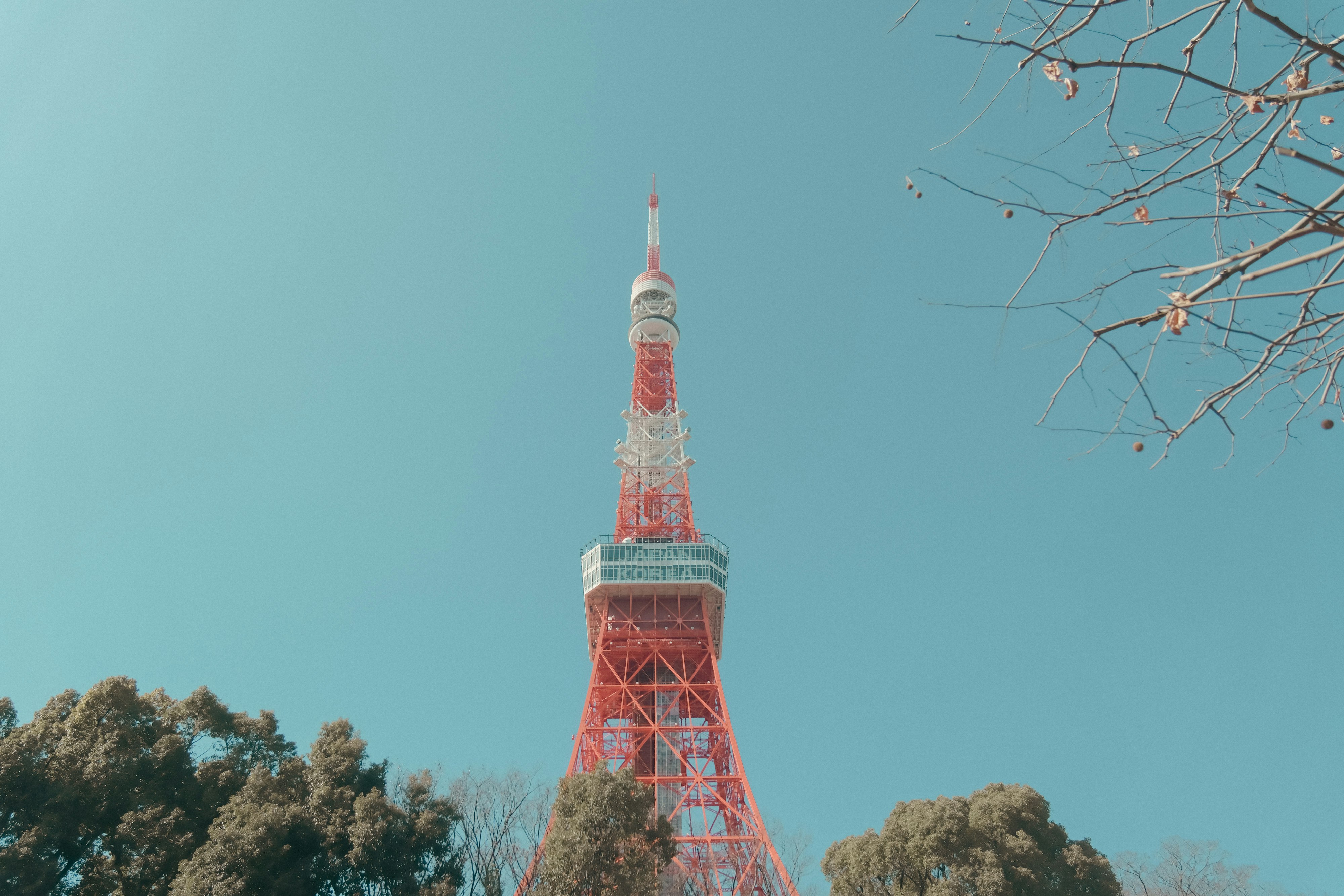 青空にそびえる東京タワーと木々のシルエット
