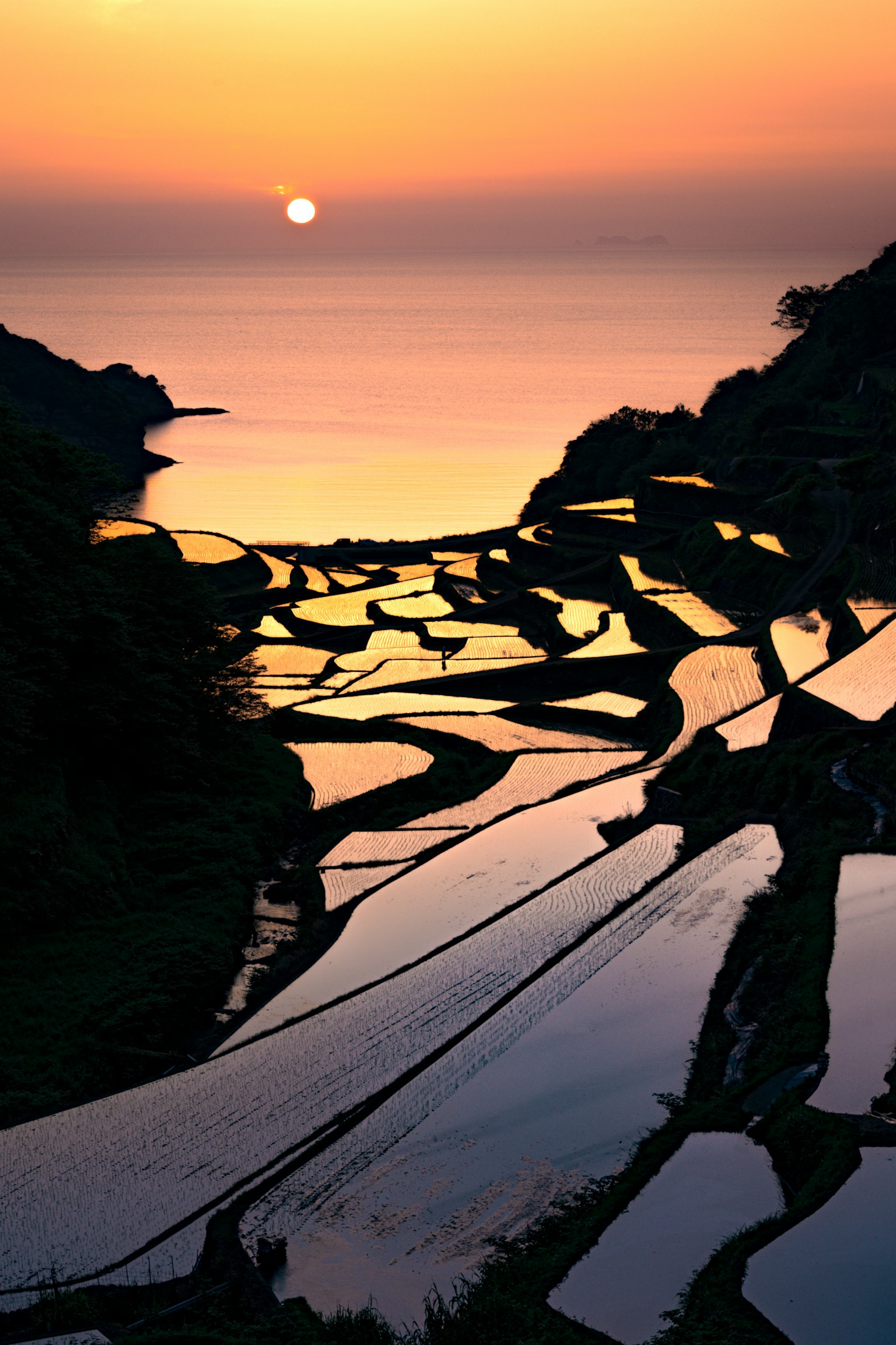 美しい夕日が海に沈む中、棚田が水面に反射している風景