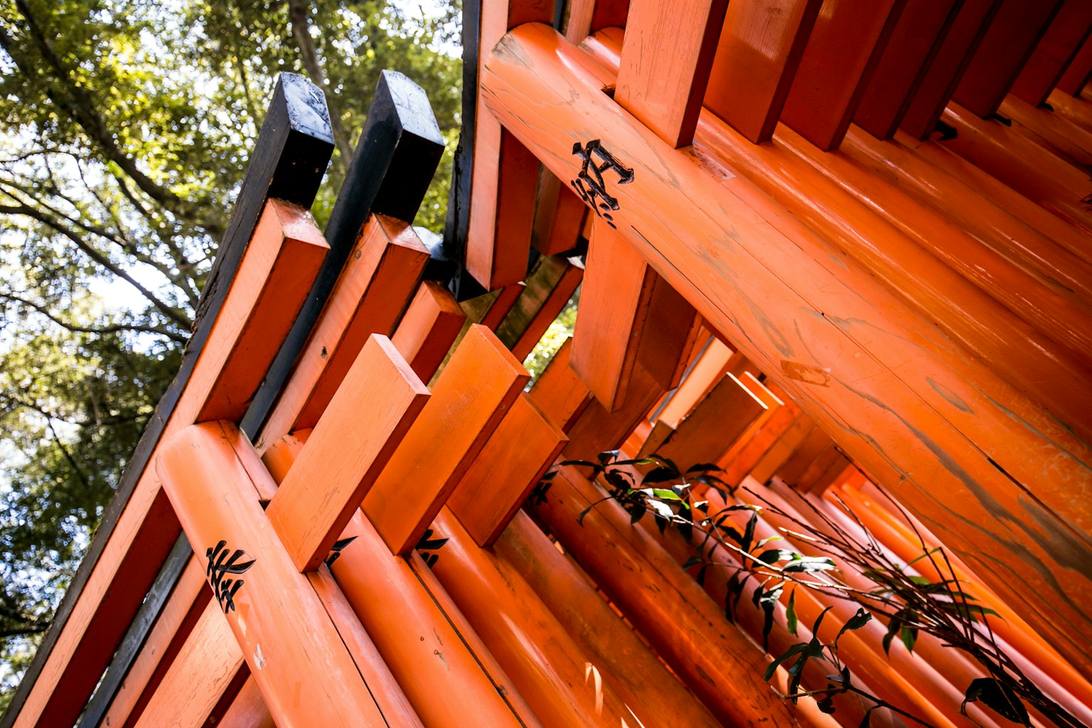 Foto di strutture di torii rossi sovrapposte