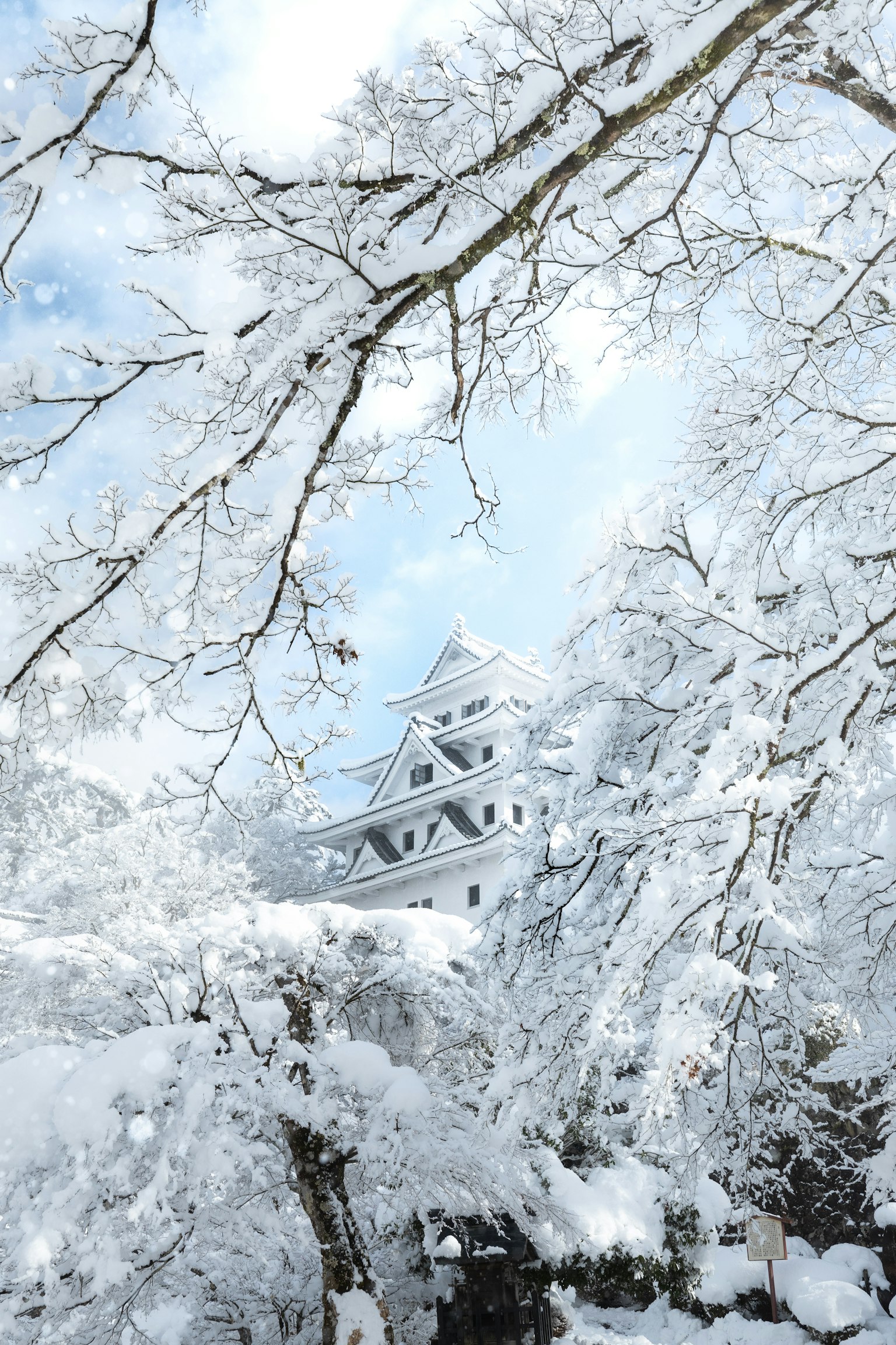 Paysage magnifique avec un château enneigé et des arbres