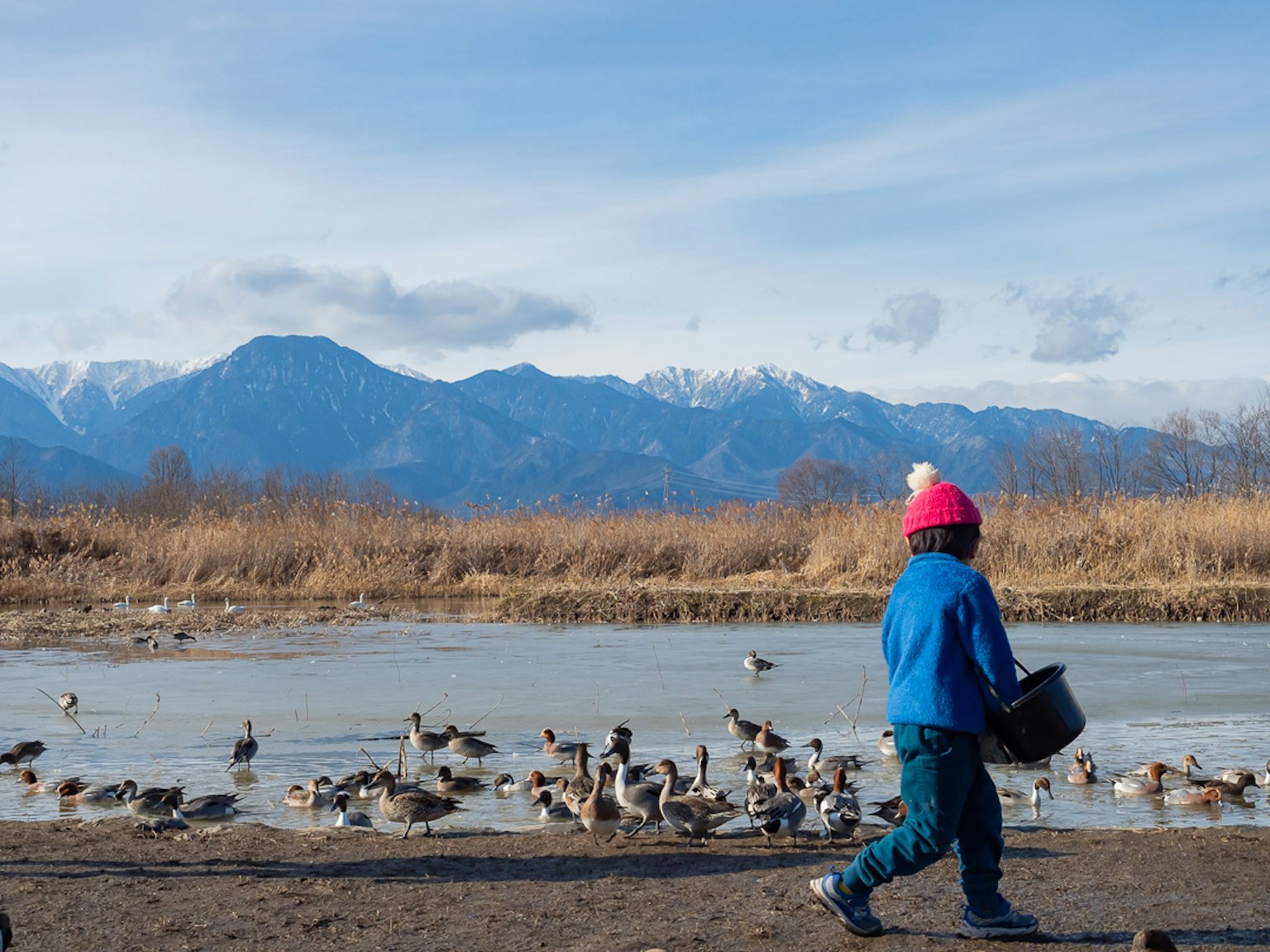 Kind in blauer Kleidung mit rosa Mütze, das Enten am Wasser füttert, mit Bergen im Hintergrund