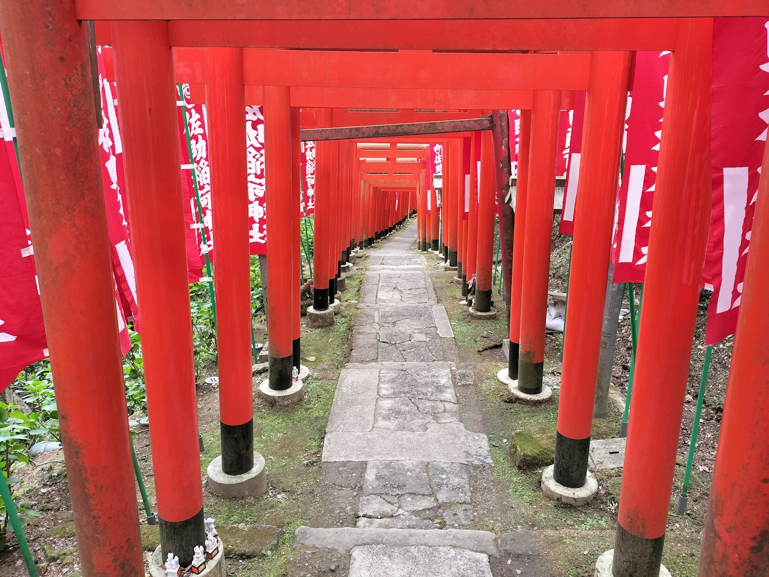 Pathway lined with red torii gates and stone walkway