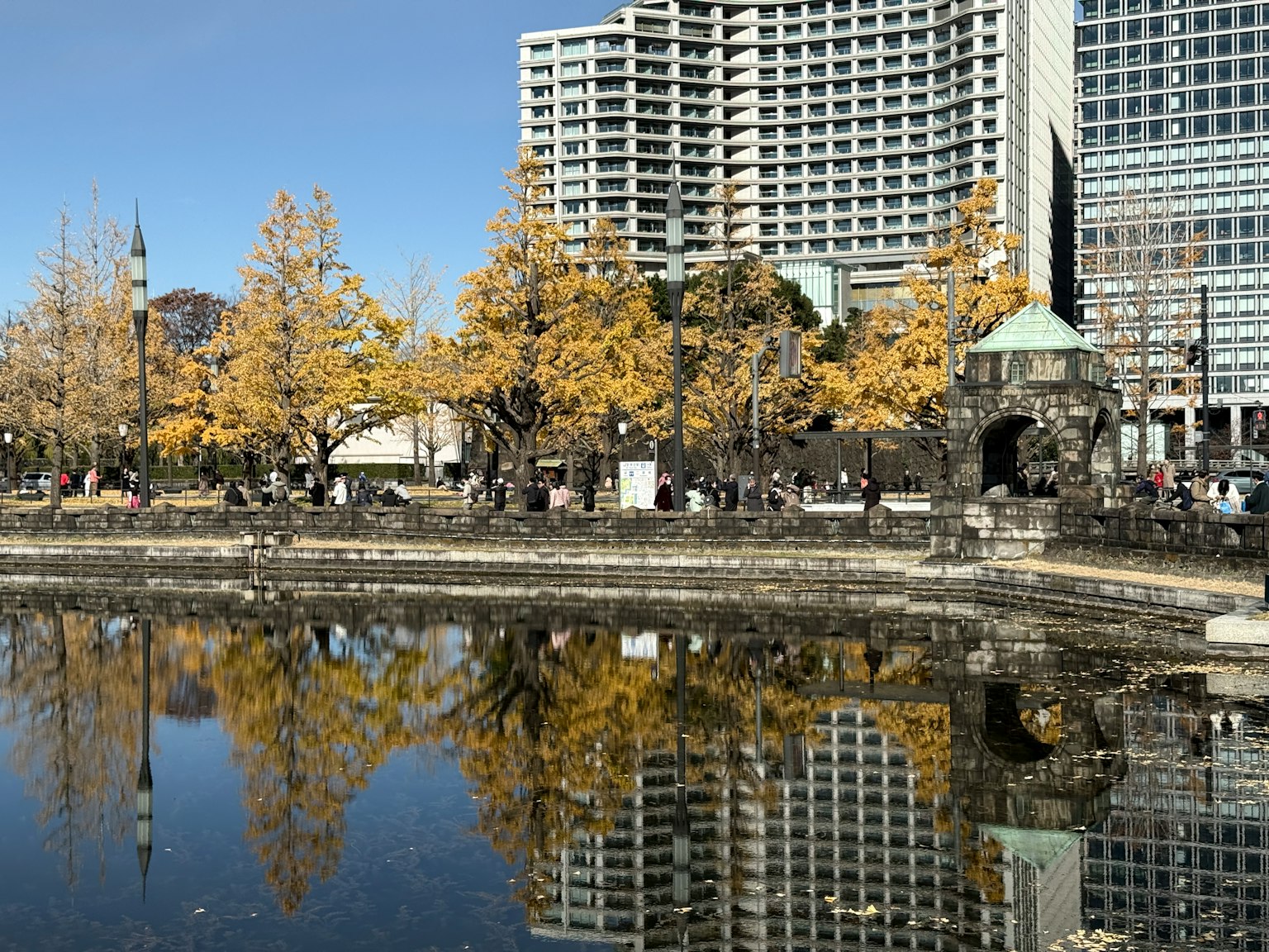 公園池塘的景色，銀杏樹和摩天大樓