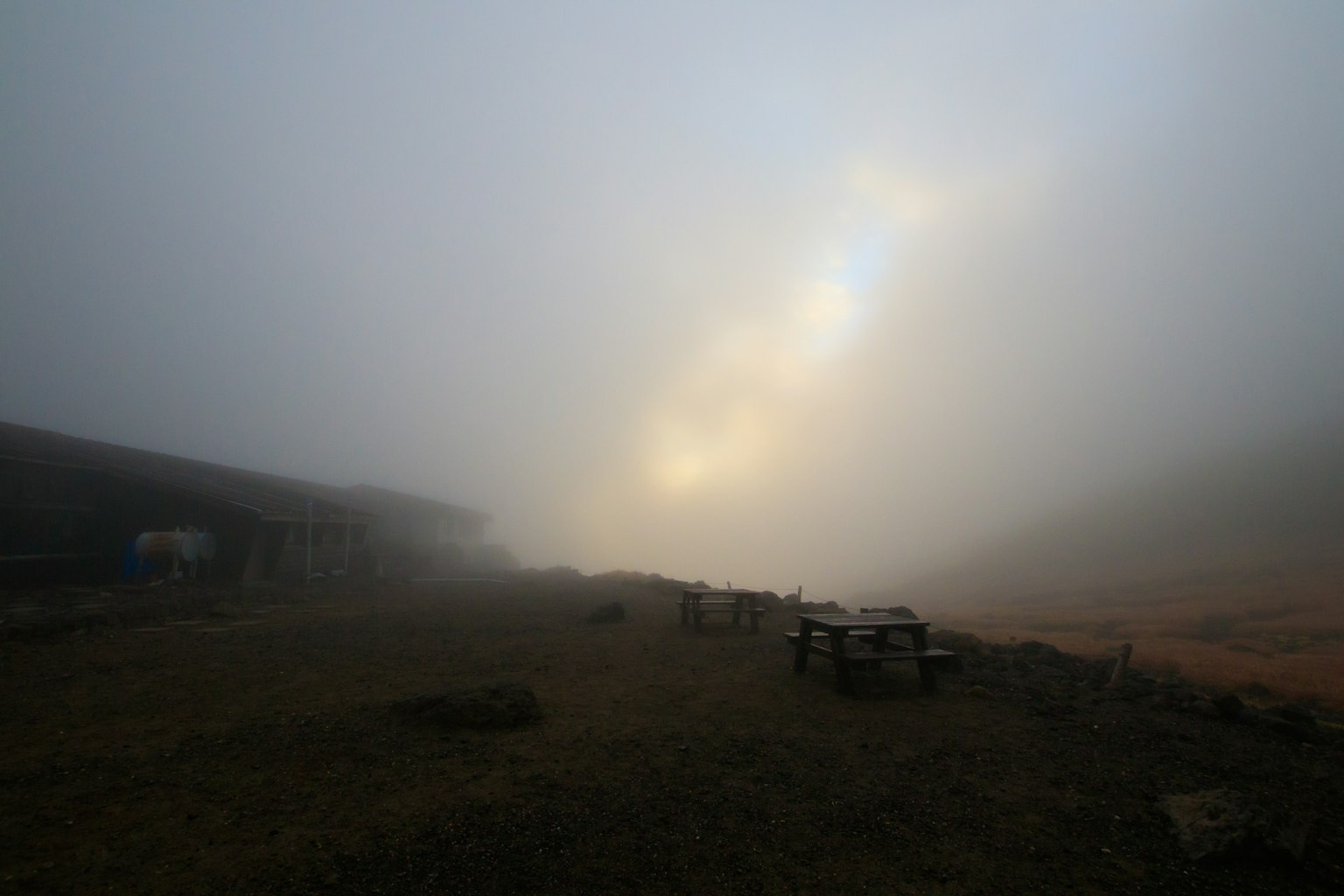 Paysage enveloppé de brouillard avec une lumière douce