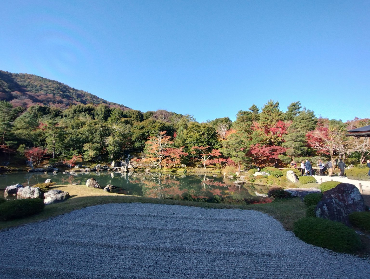 Scenic garden view with green trees and autumn foliage surrounding a pond