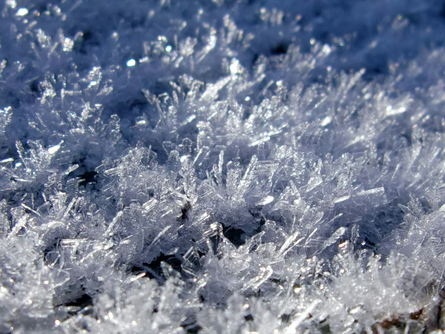 美麗的冰花圖案，雪花散布在地面上