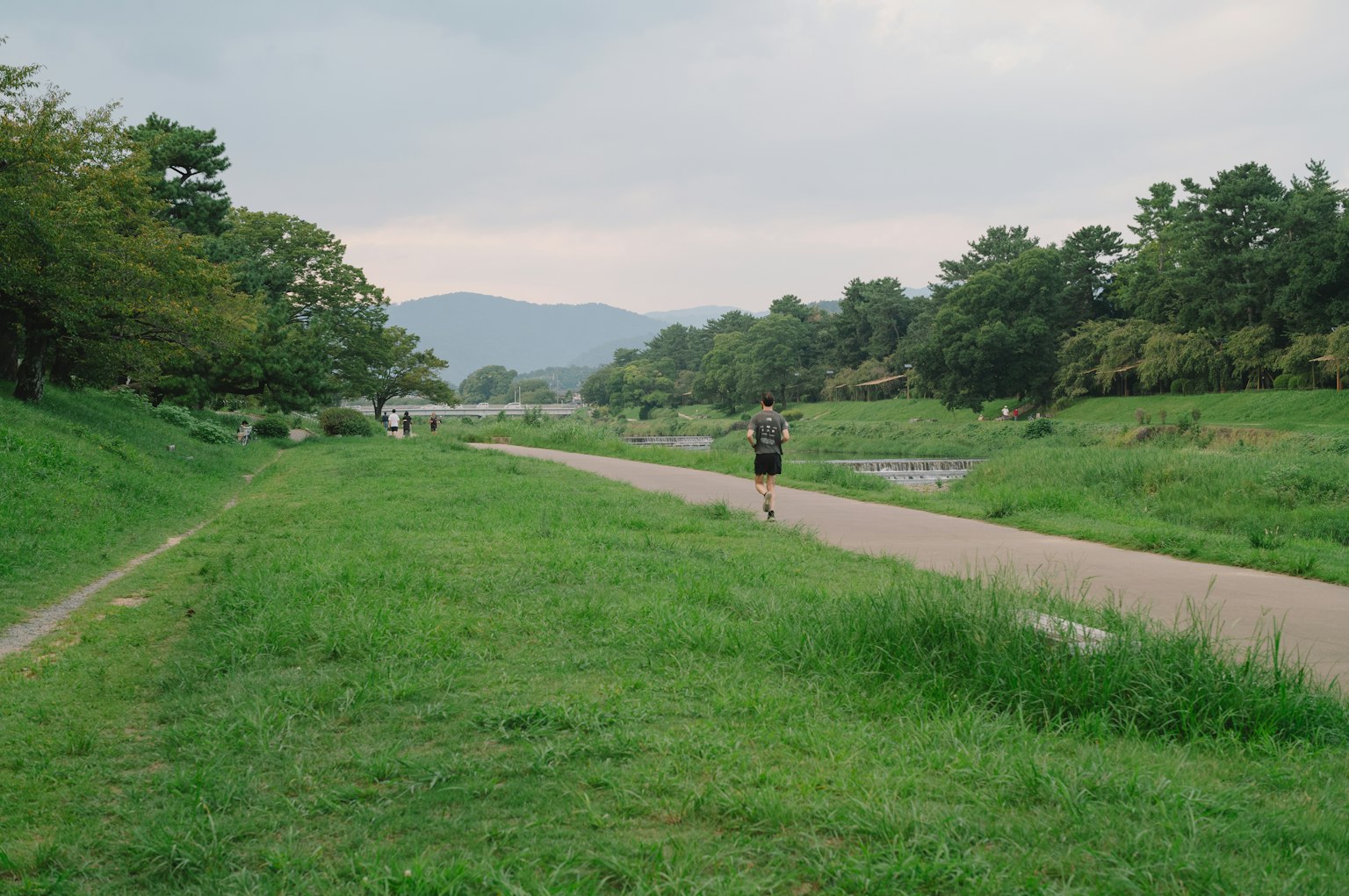 一名男子在草地小路上慢跑，背景有樹木和山脈