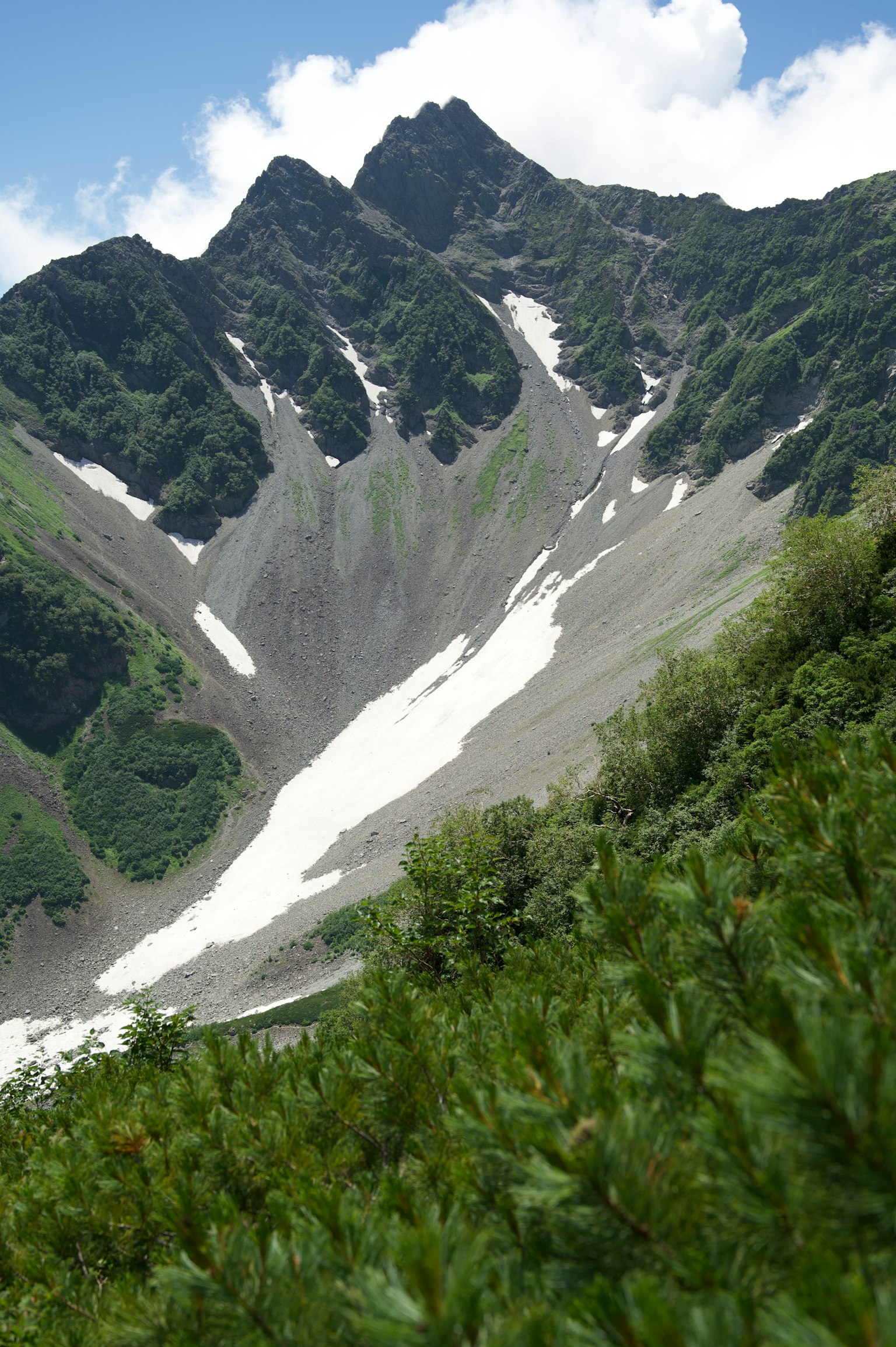 Paesaggio montano con vegetazione verde e neve