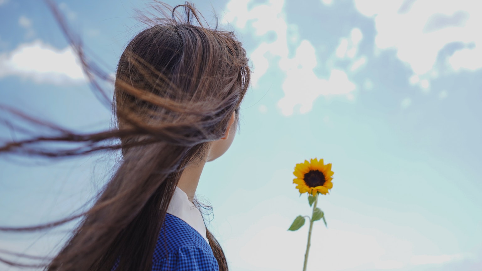 Une fille tenant un tournesol avec ses cheveux flottant au vent sous un ciel bleu