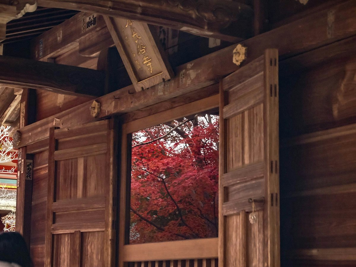木造の門と紅葉の紅い景色のリフレクション