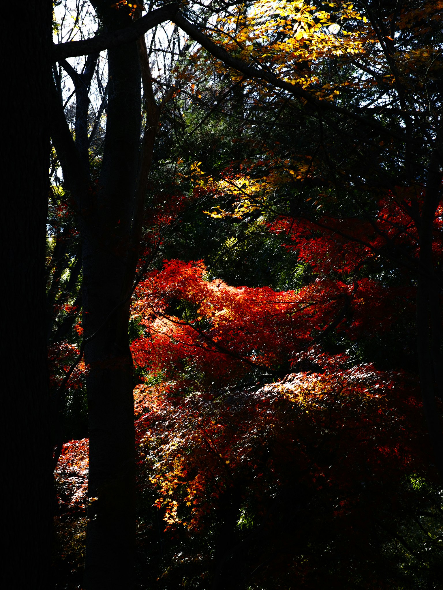 photo-zijIiYtDSDLBvDRZxgNS-image