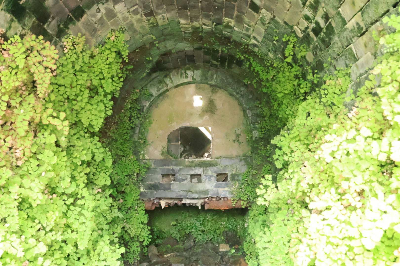 長滿綠植的磚拱隧道內部