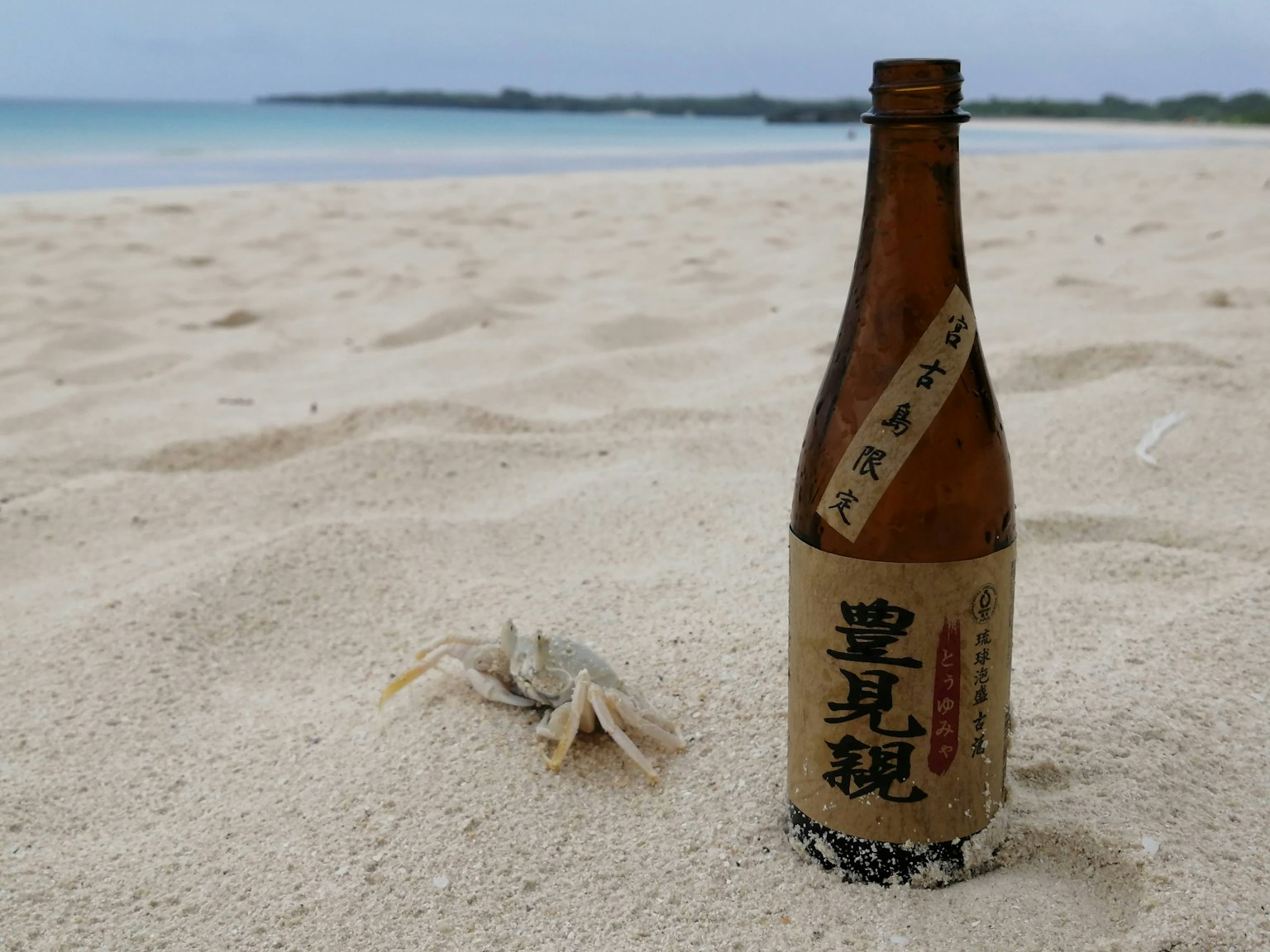 Sake bottle and crab on sandy beach