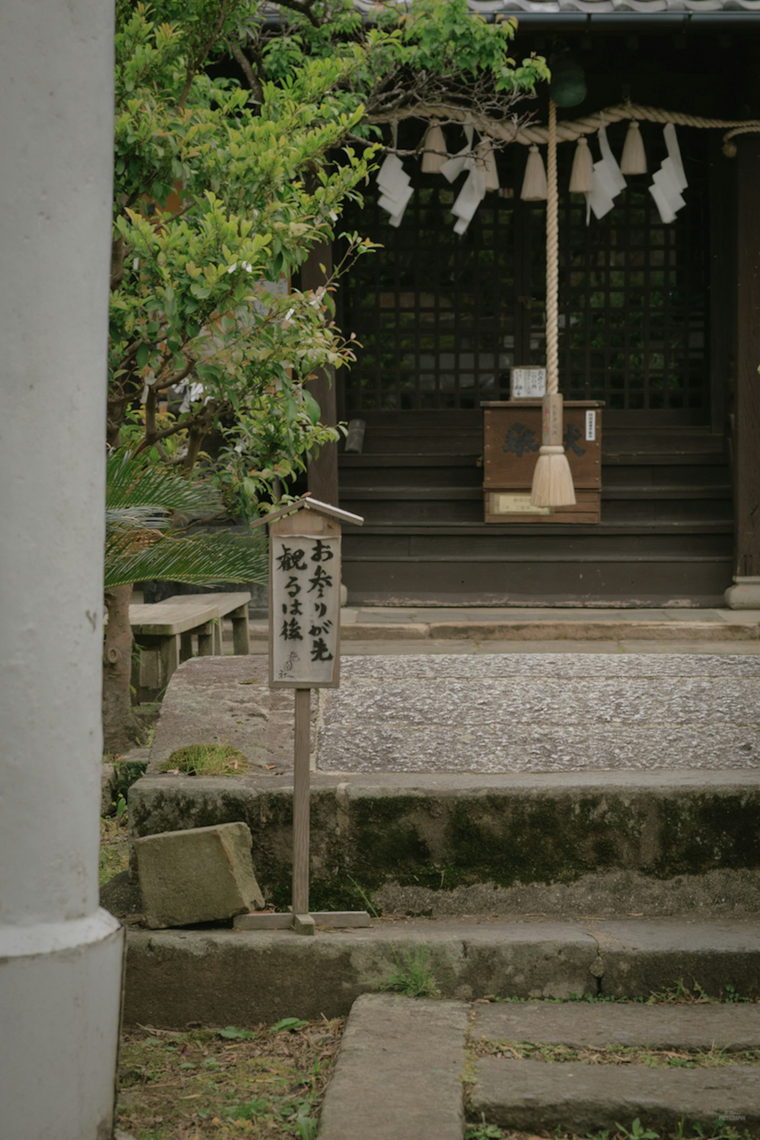 通往安静神社入口的石阶，周围环绕着绿色树木和木制标志