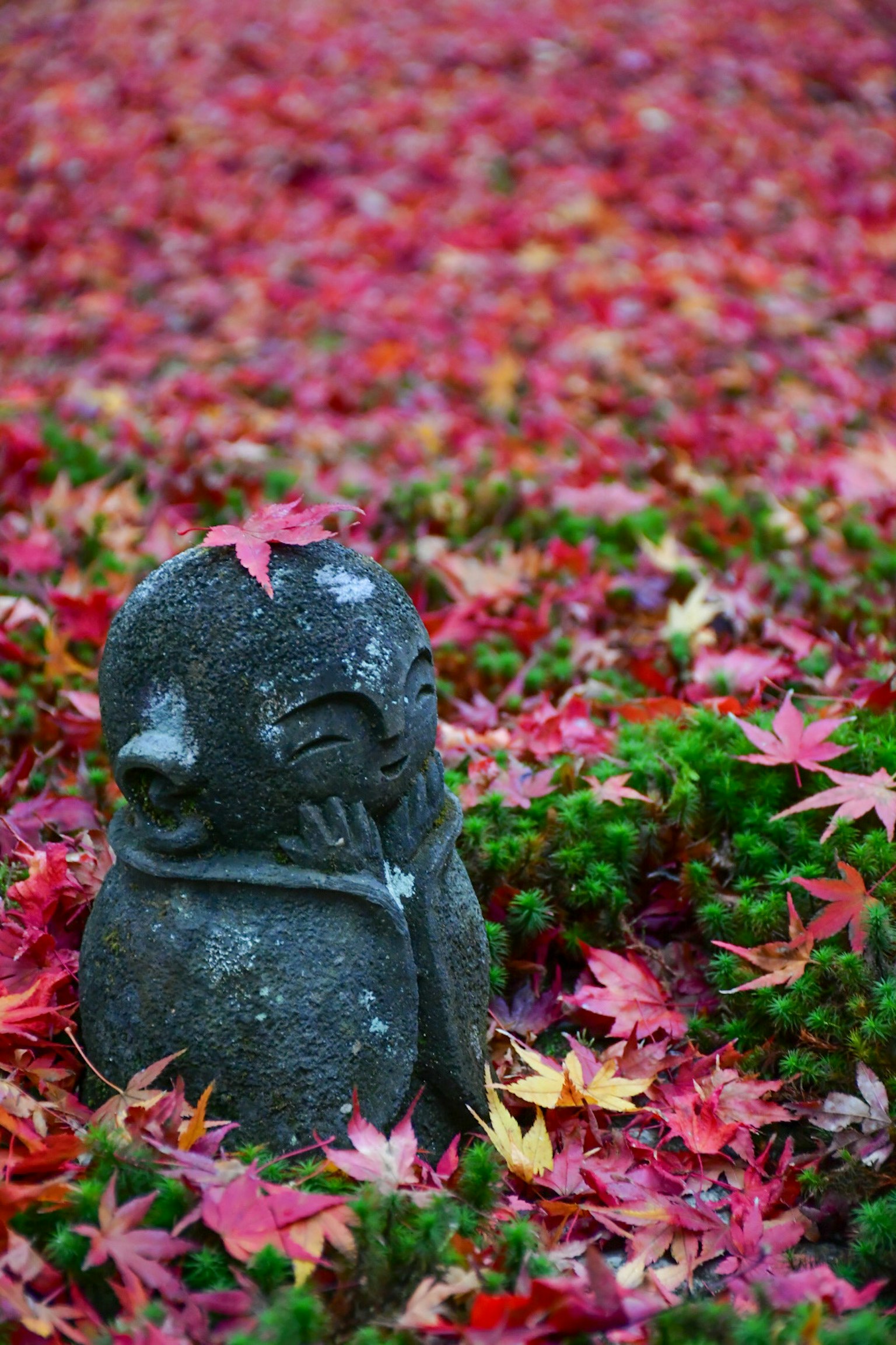Piccola statua di pietra circondata da foglie autunnali e fogliame colorato