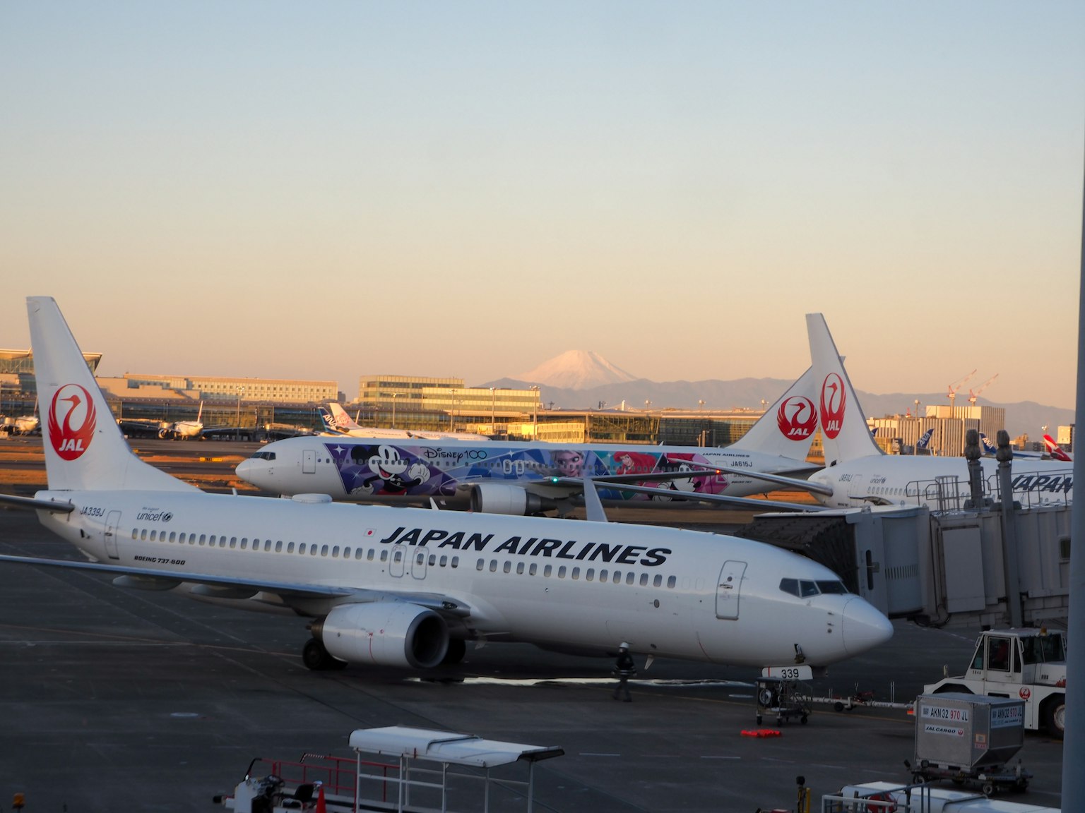 Avion Japan Airlines à l'aéroport illuminé par le coucher de soleil
