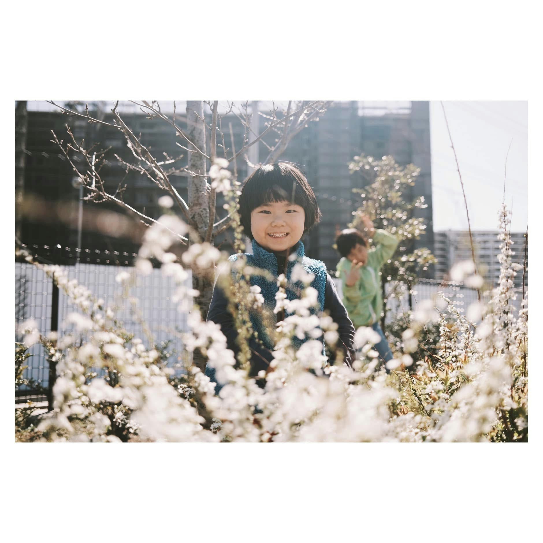 街中の花の咲く並木と笑顔の子ども