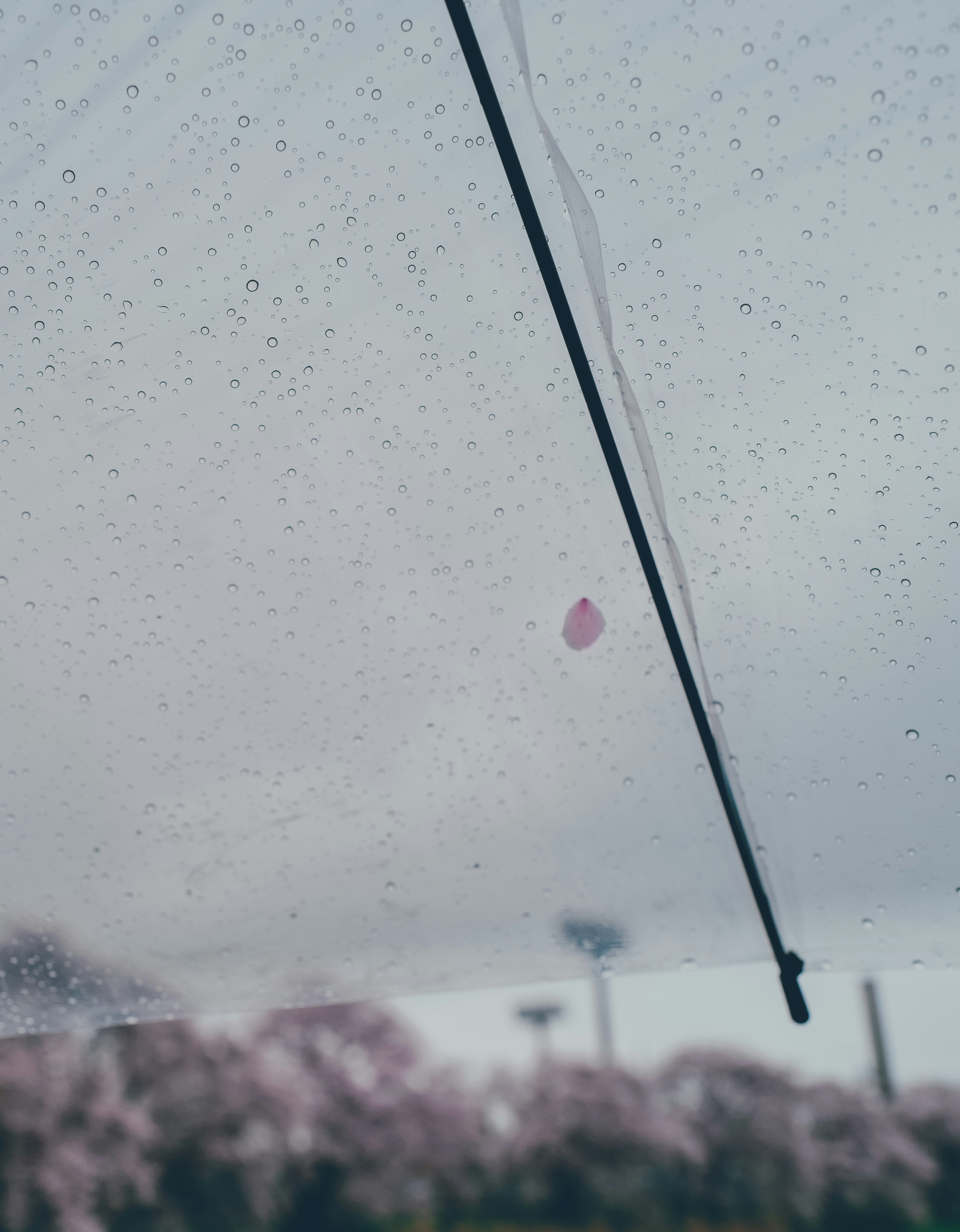 透明窗上的雨滴与雨伞伞尖