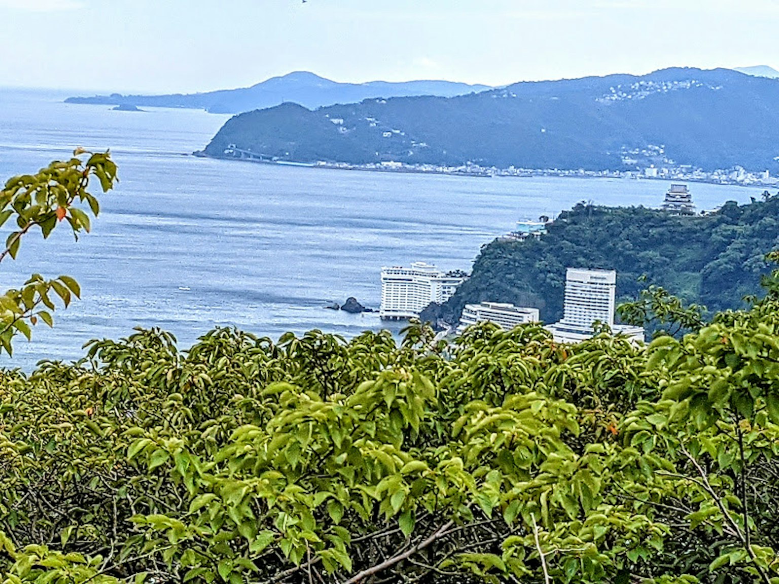Vista costiera con mare blu e vegetazione verde