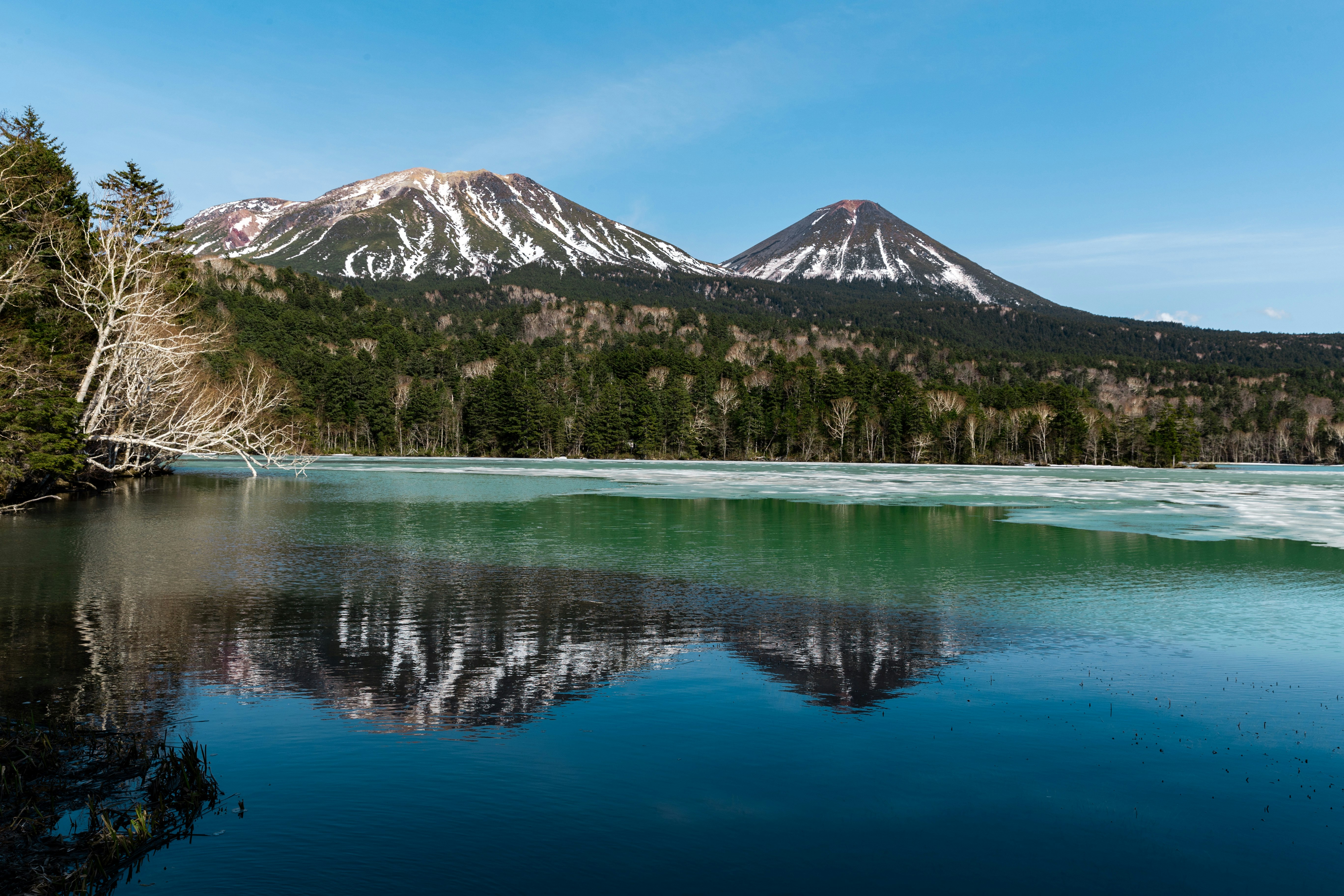 湖面に映る山並みと森の岸辺