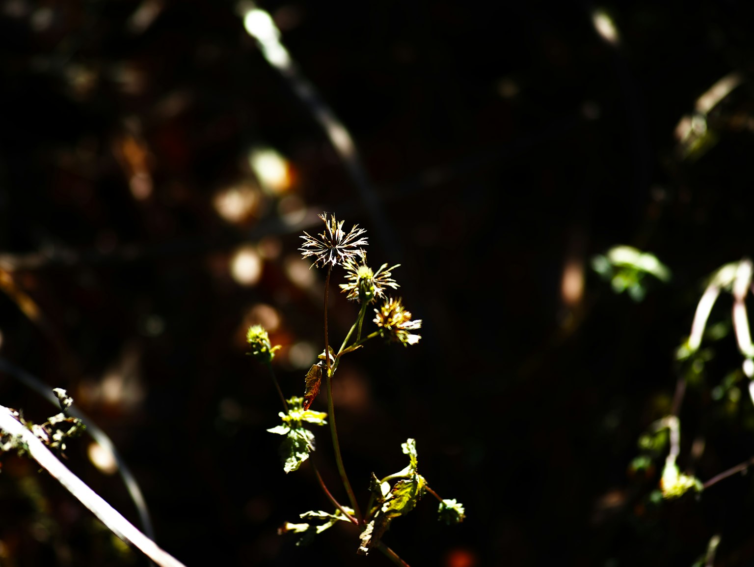 photo-zltUvV8YshDjIUs8V3KE-image