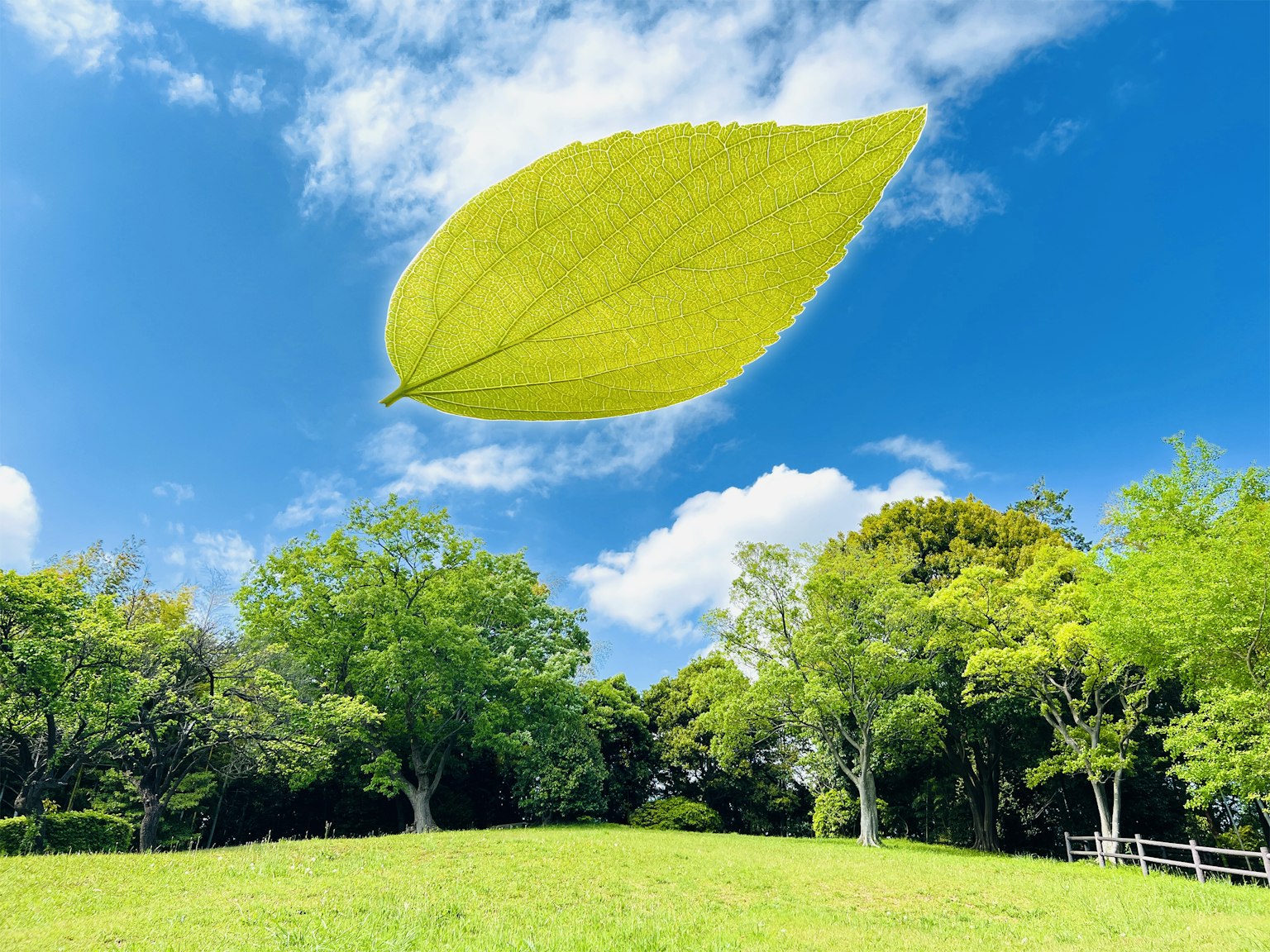 Una grande foglia verde che galleggia sopra un paesaggio con cielo blu e alberi verdi lussureggianti