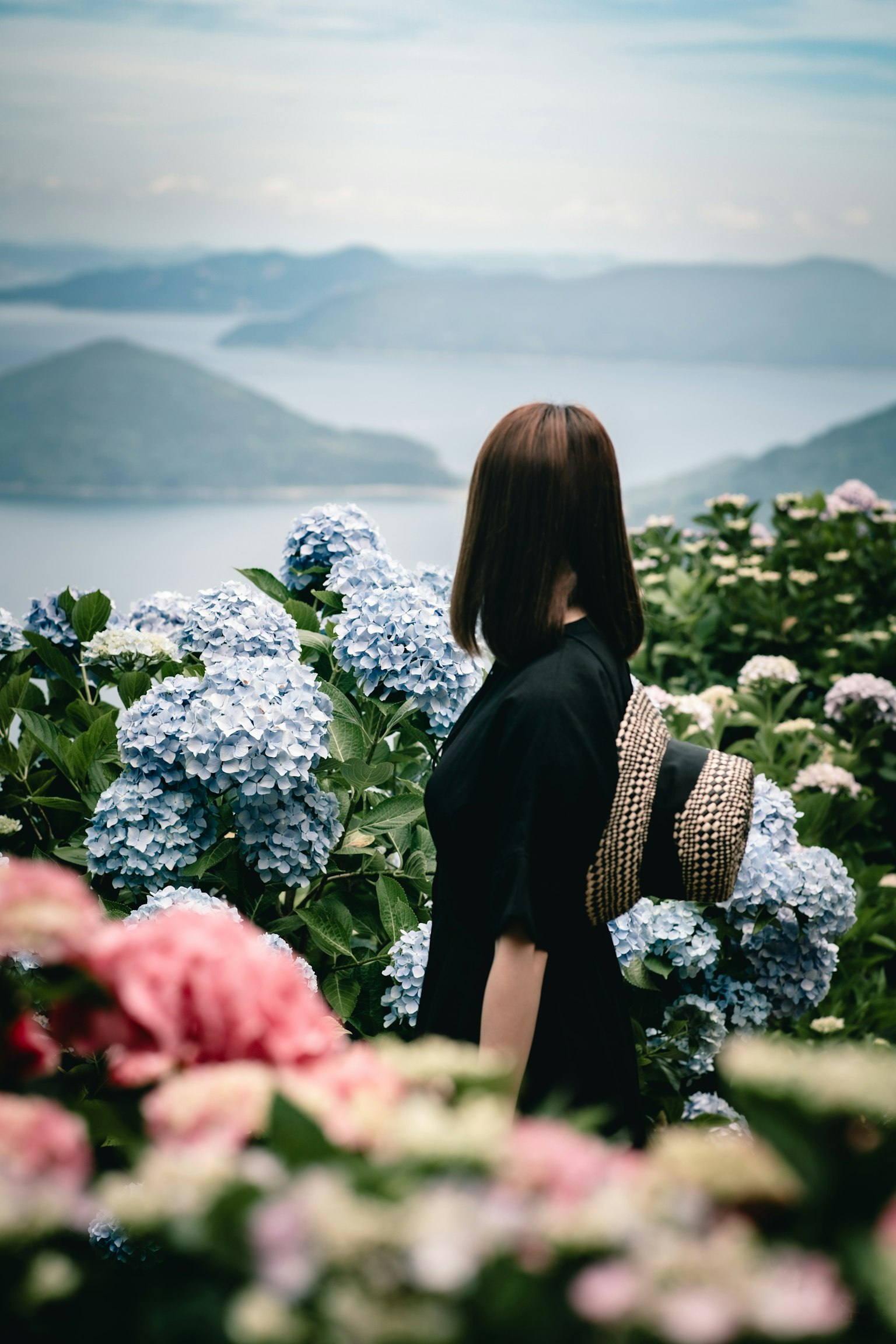 Một người phụ nữ đứng giữa những bông hoa cẩm tú cầu xanh với những ngọn núi ở phía sau