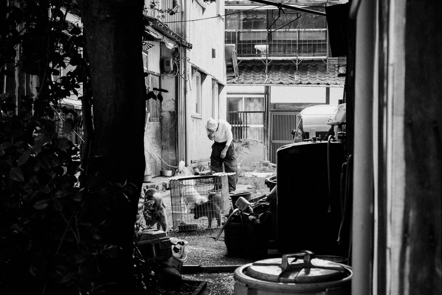 Una persona jugando con un perro en un callejón estrecho rodeado de escombros