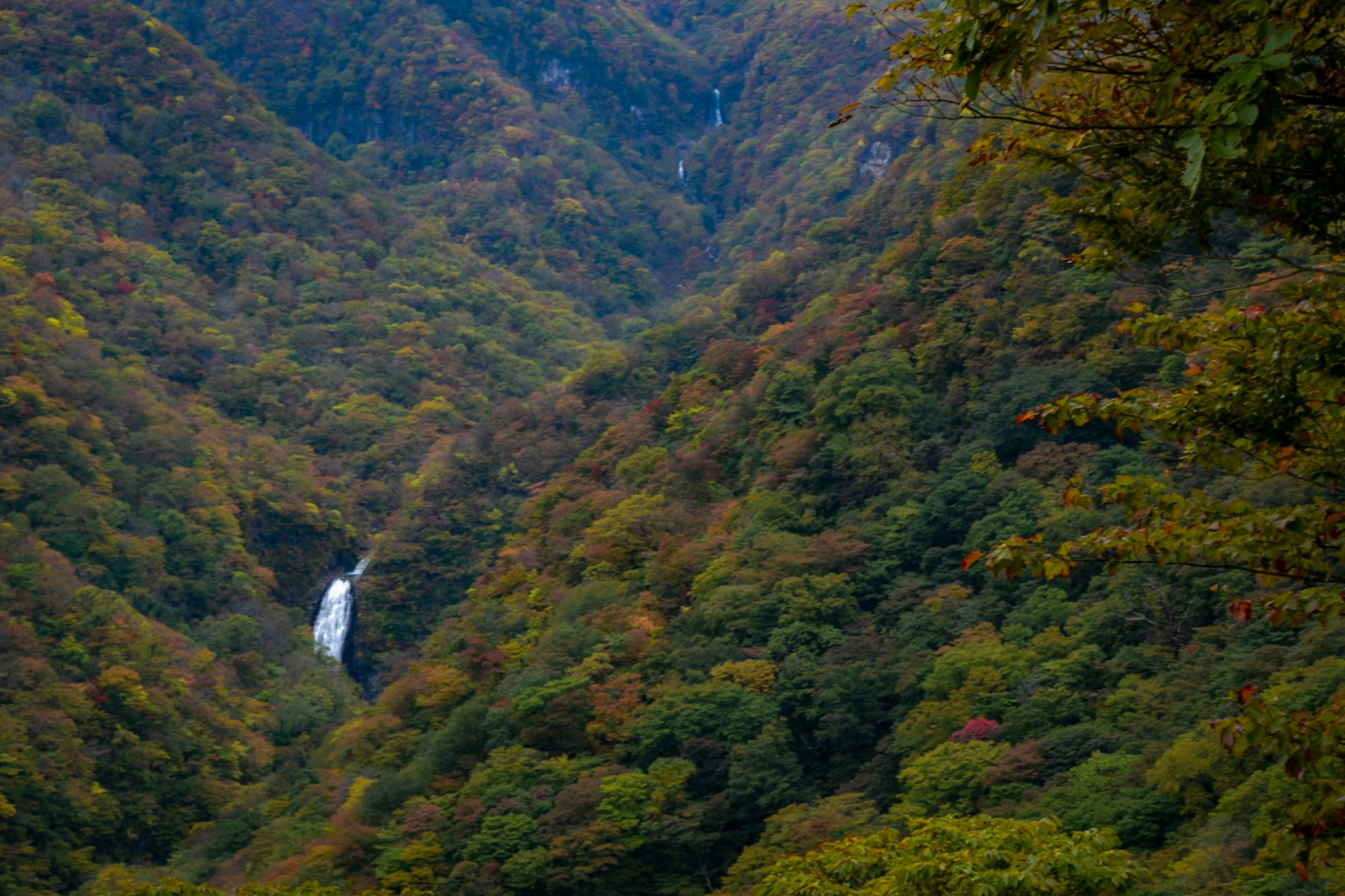 渓谷を流れる滝と紅葉の山並み